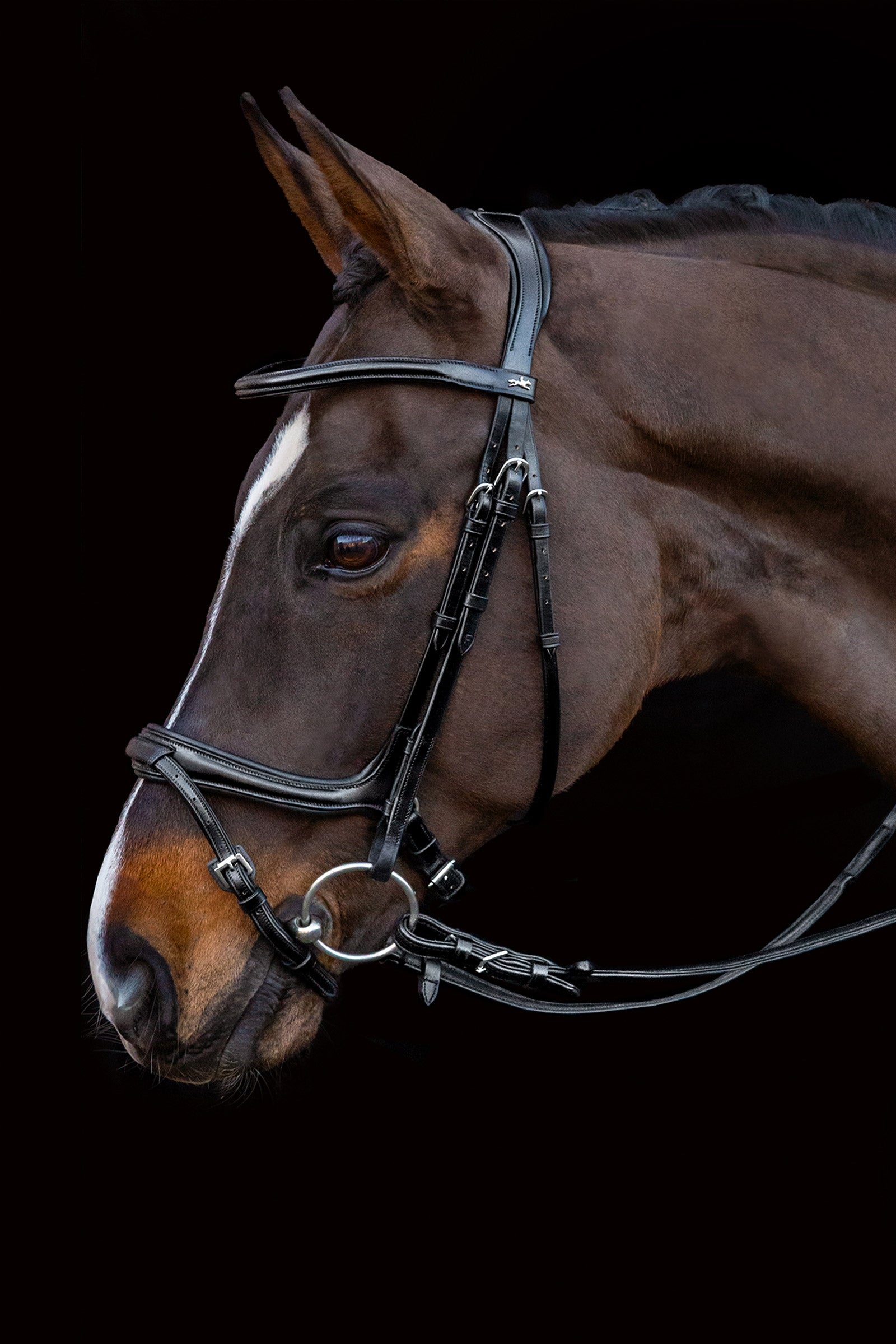 Schockemöhle Sports Ancona Select Bridle Bridles & Reins