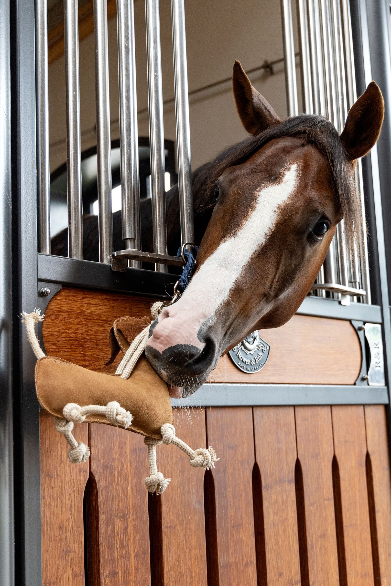 LeMieux Horse Toy Sausage Dog Horse Toys & Riding Arena Supplies