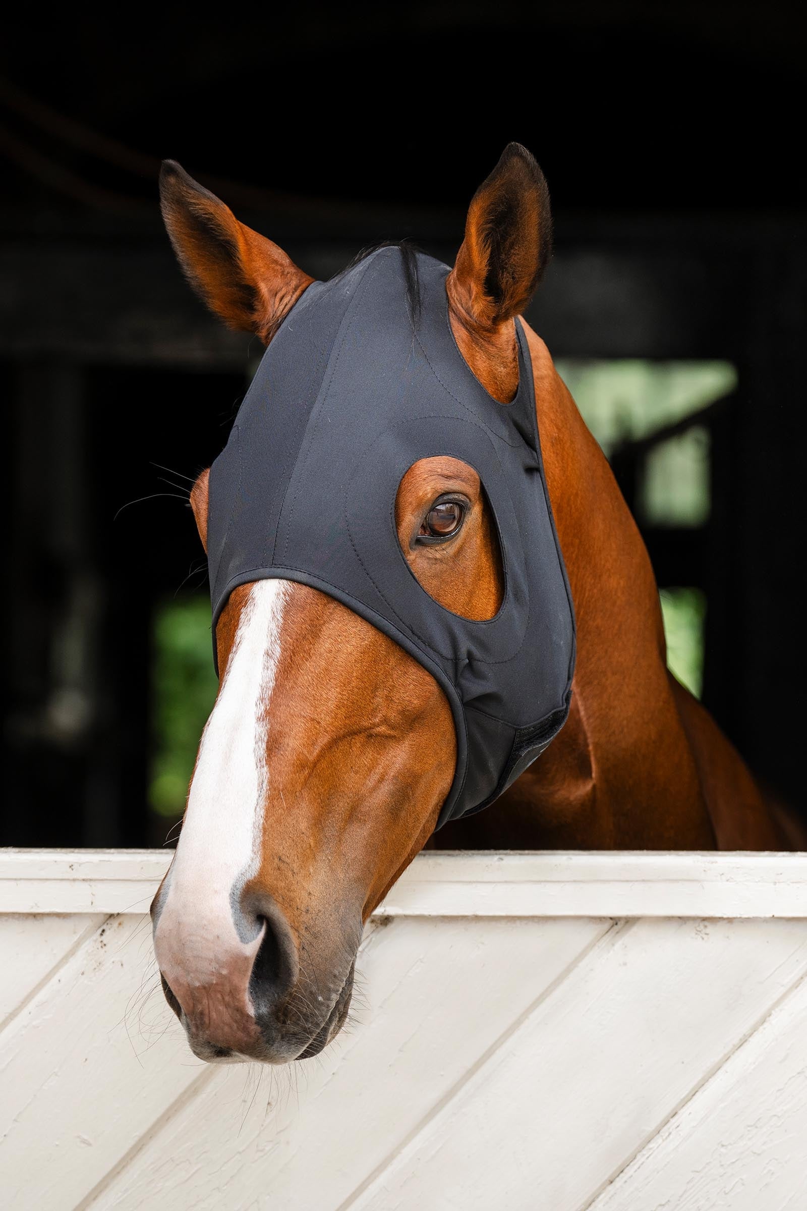 Horseware Ionic kalmerend gezichtsmasker Vliegenbescherming