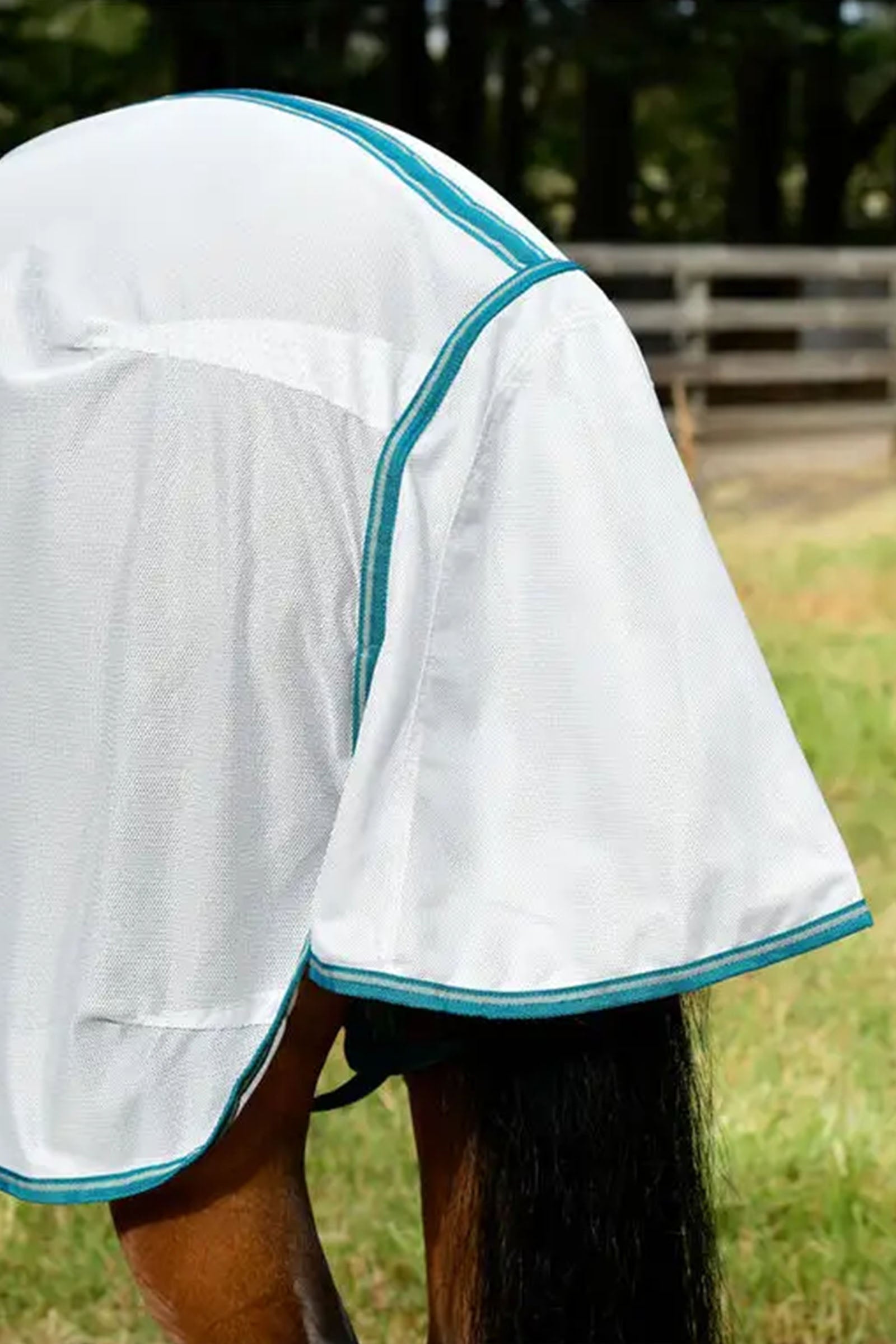 Weatherbeeta Comfitec Zephyr Plus Mesh Combo Neck Horse Rugs