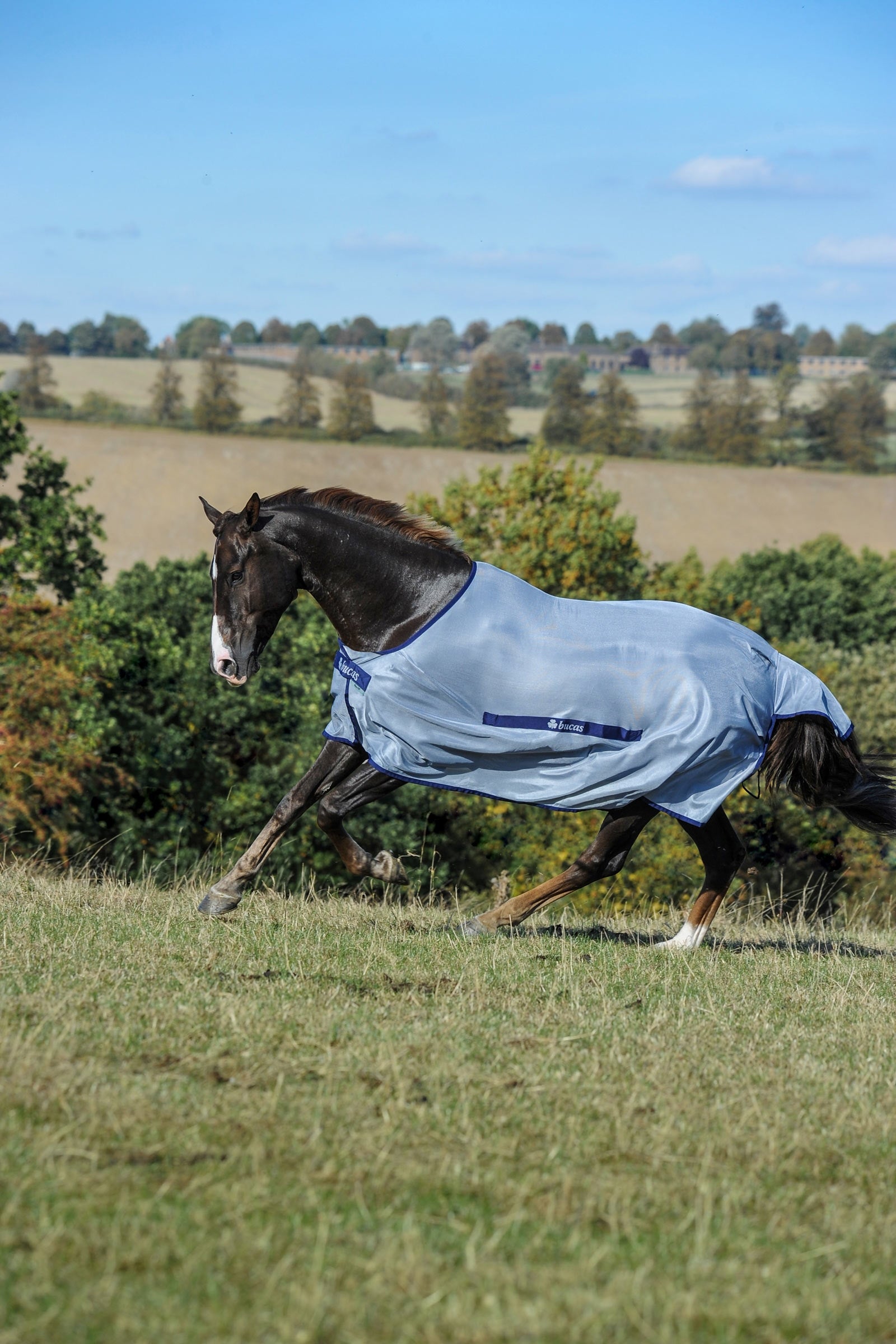 Bucas Buzz-Off Classic Fly Rug Horse Rugs