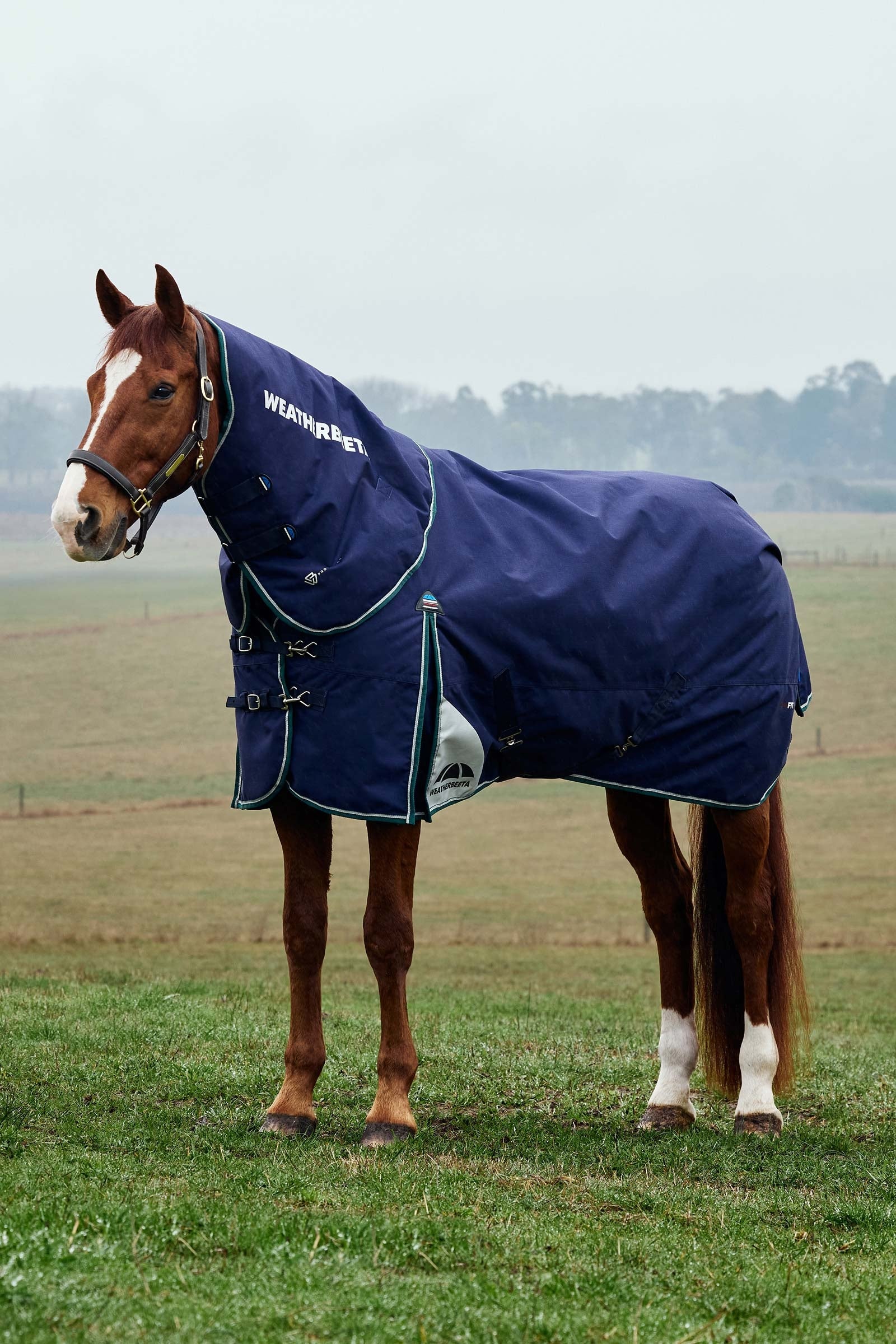 Weatherbeeta ComFiTecPlus Dynamic Turnout Detach-A-Neck 220G Paardendekens