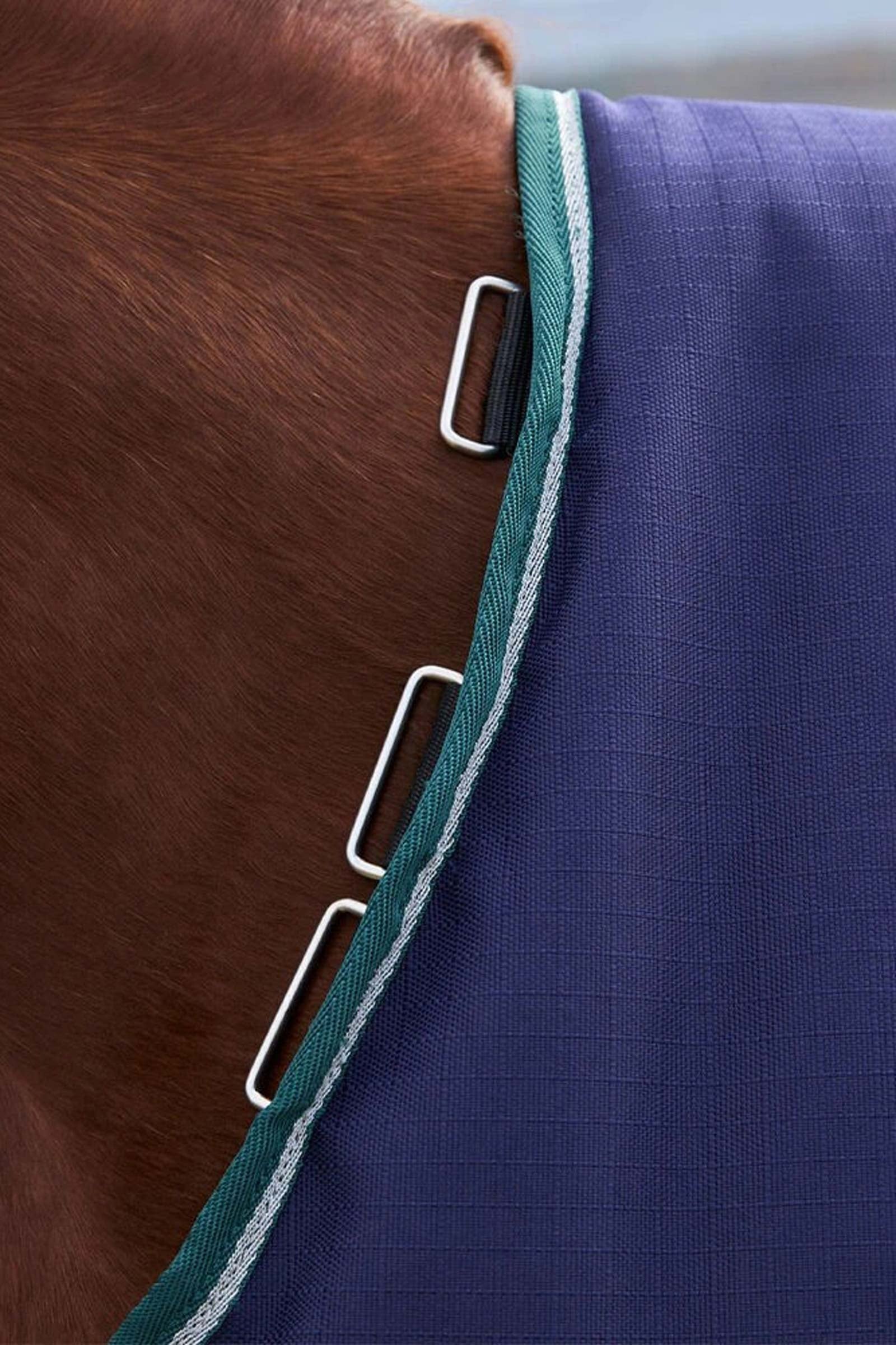 Weatherbeeta ComFiTecPlus Dynamic Turnout Detach-A-Neck 220G Horse Rugs