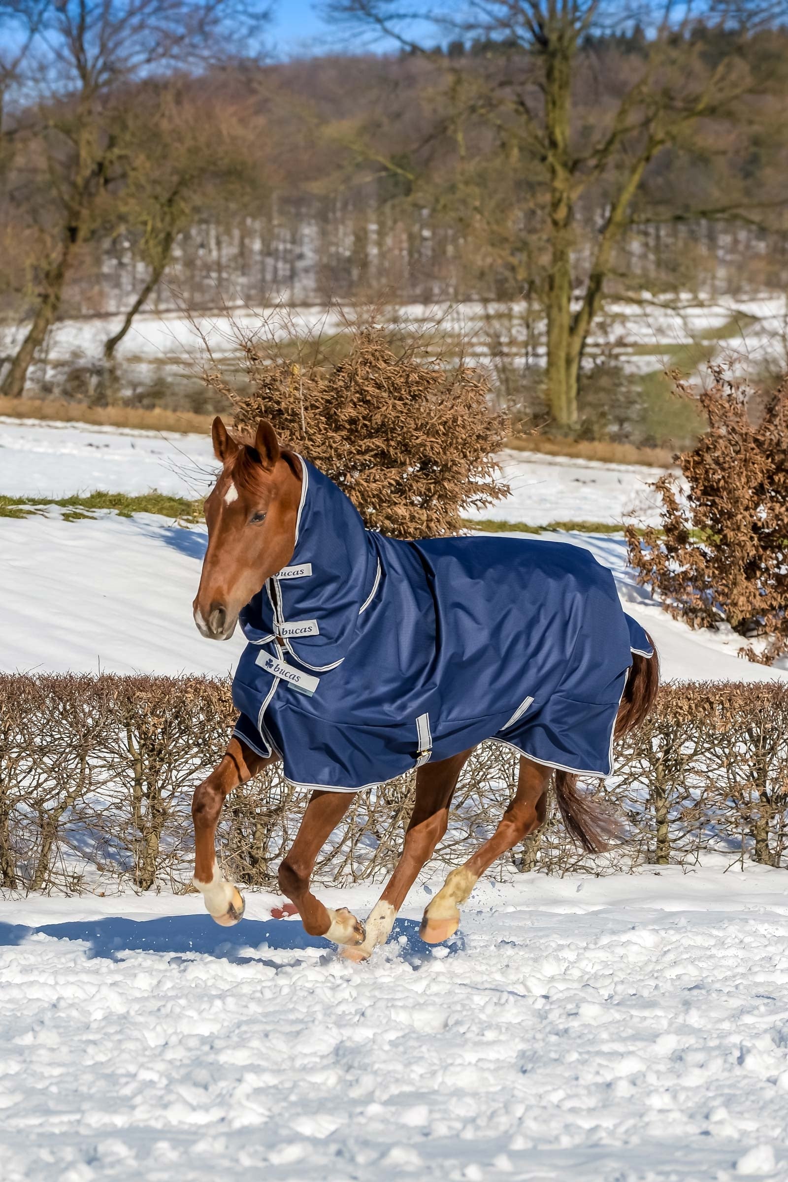Bucas Freedom outdoordeken met vaste volledige hals (150g / 150g) Paardendekens