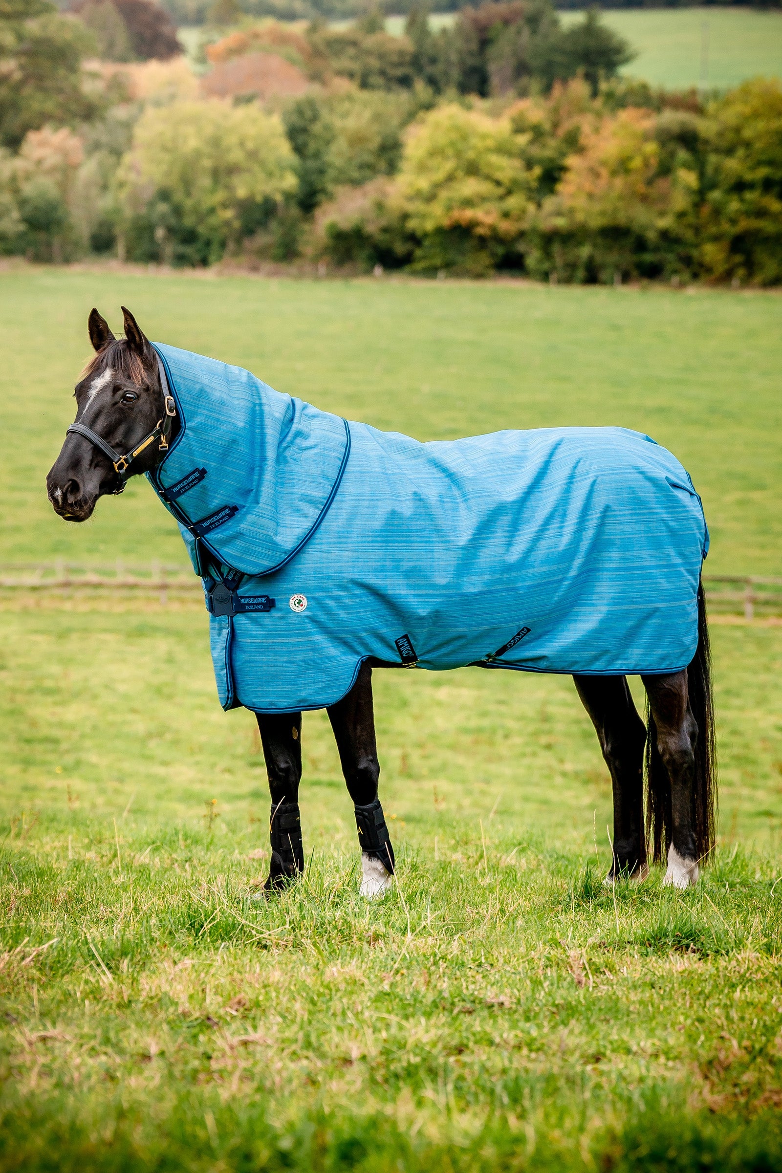 Horseware Amigo Hero 900 Revive Plus outdoordeken incl. afneembare hals, 200 g Paardendekens