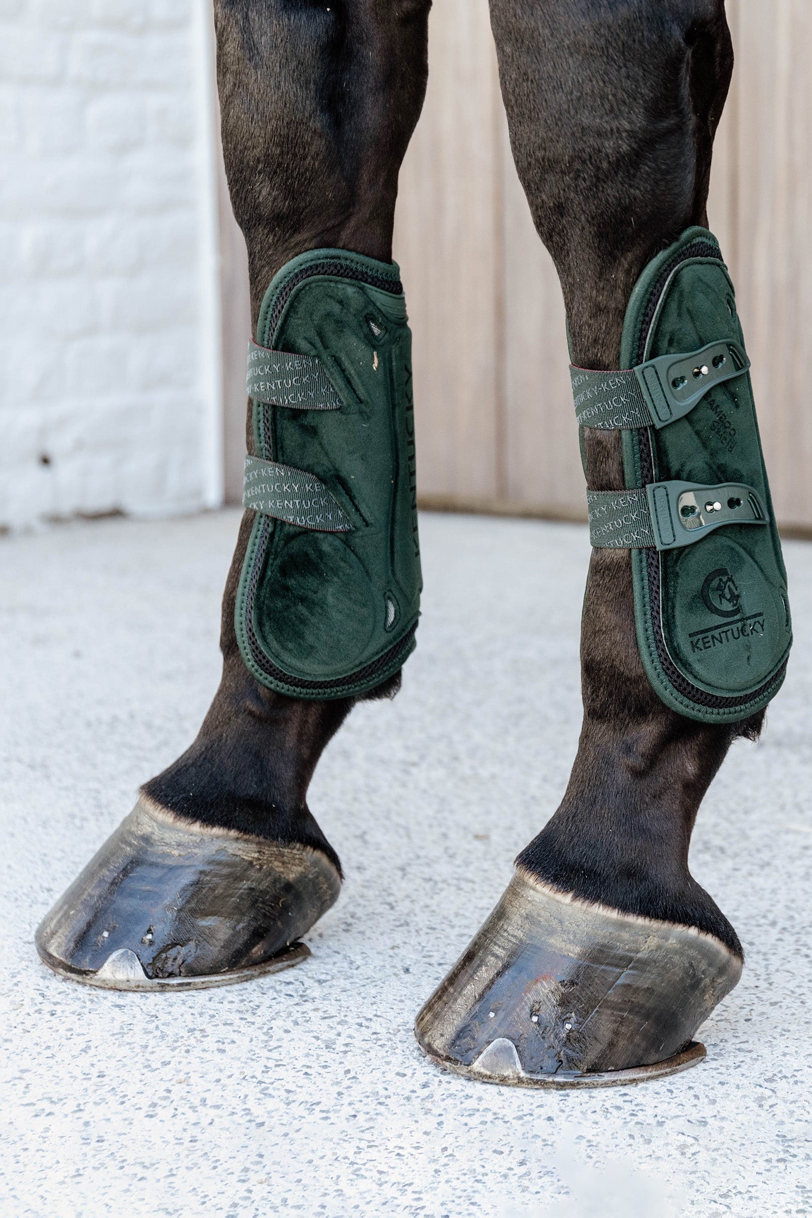 Kentucky Horsewear Bamboo Elastic Velvet Tendon Boots Leg Protection & Hoof Protection for Horses