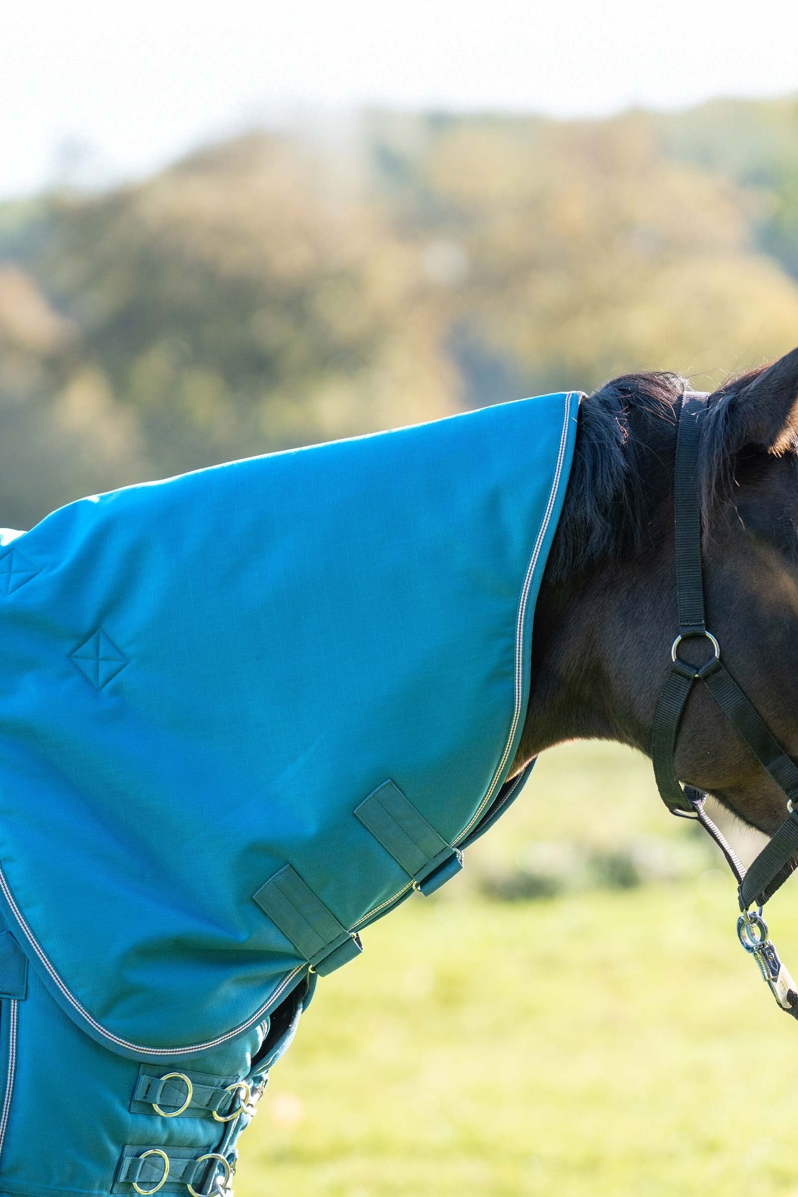 Kavalkade Hals voor Alaska IV, 100 g Paardendekens