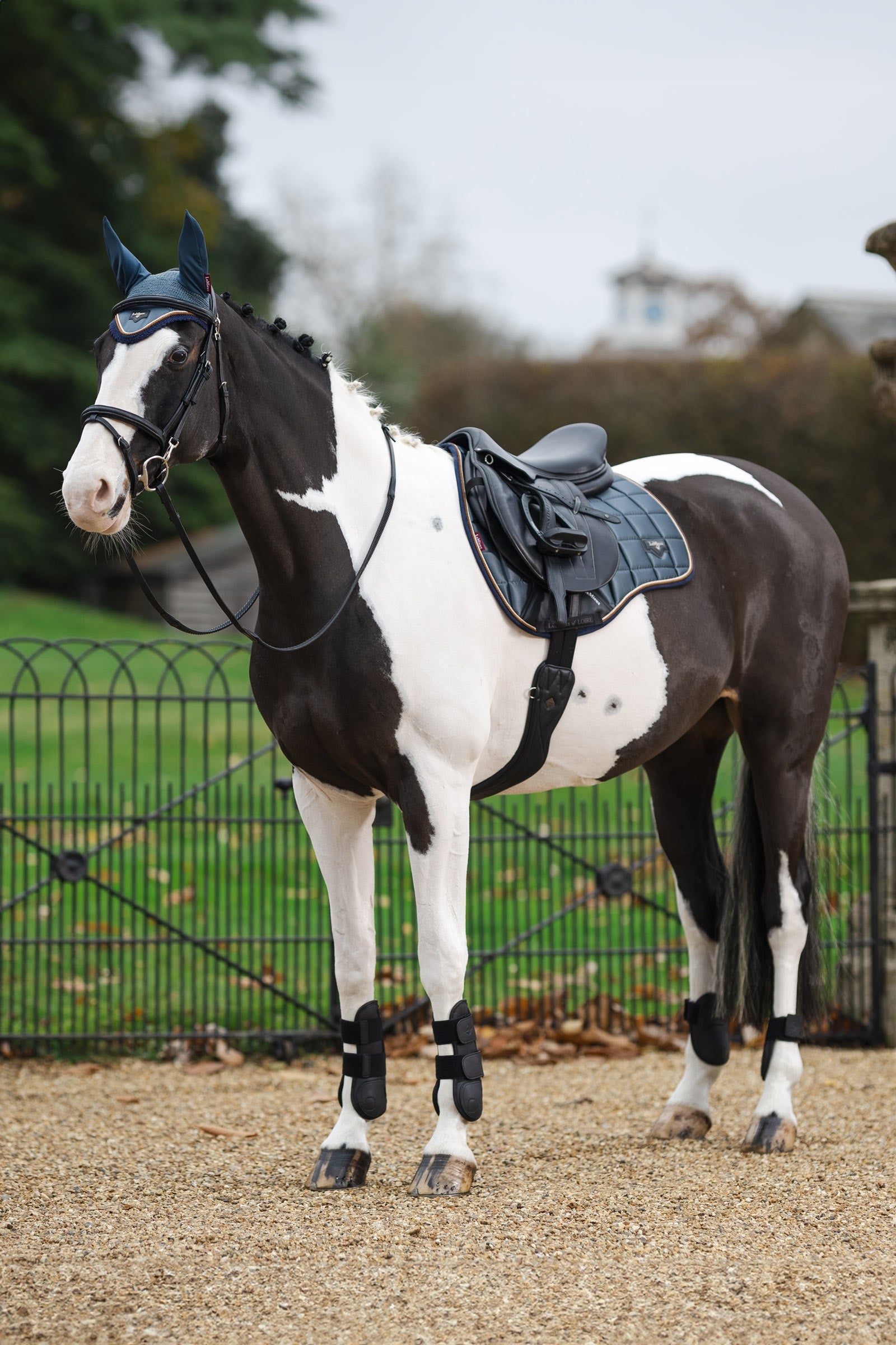 LeMieux Loire Classic Square All Purpose Saddle Pad Saddle Pads