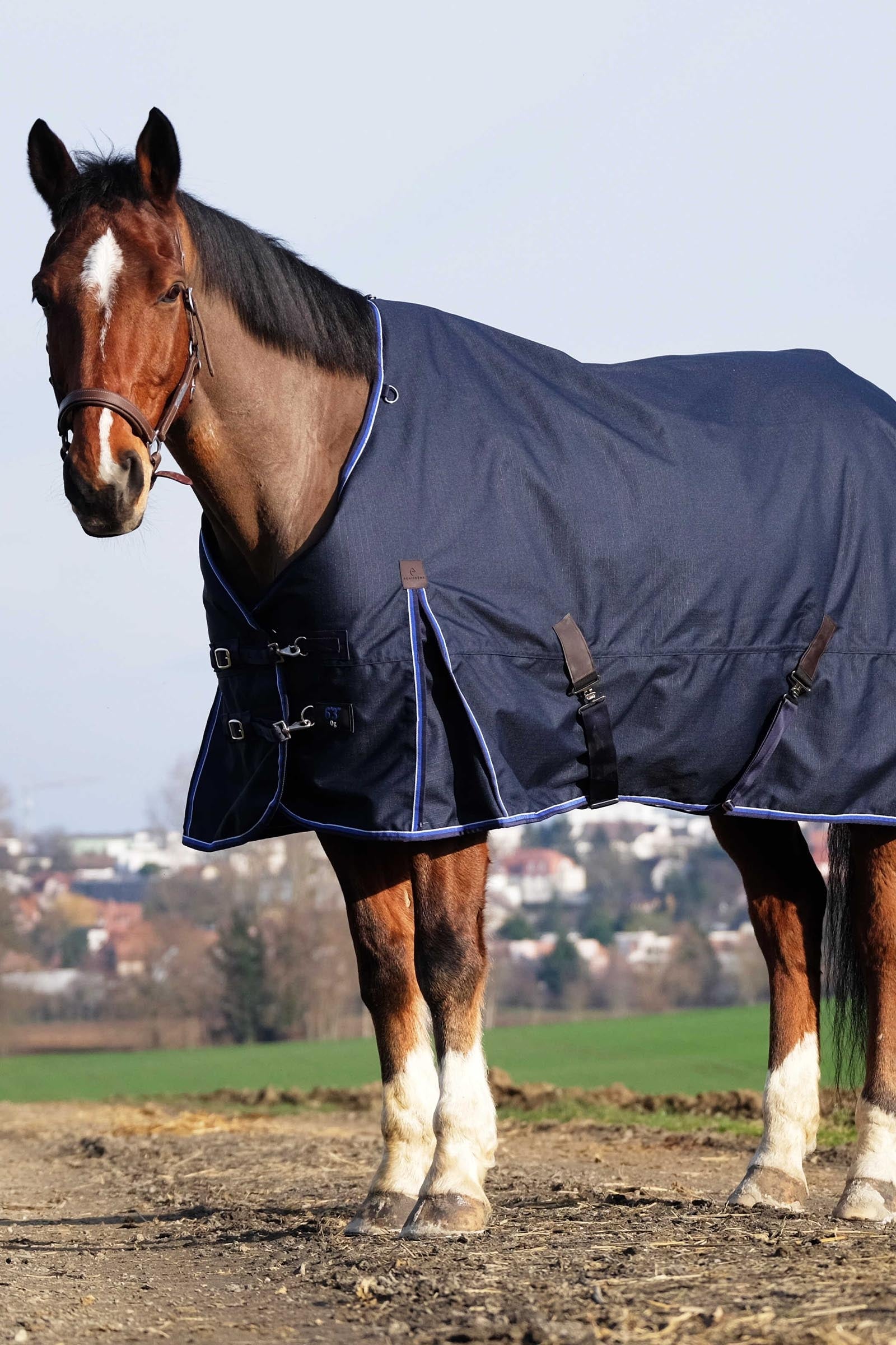 EQUITHÈME Classic 1200D outdoordeken, 50 g Paardendekens