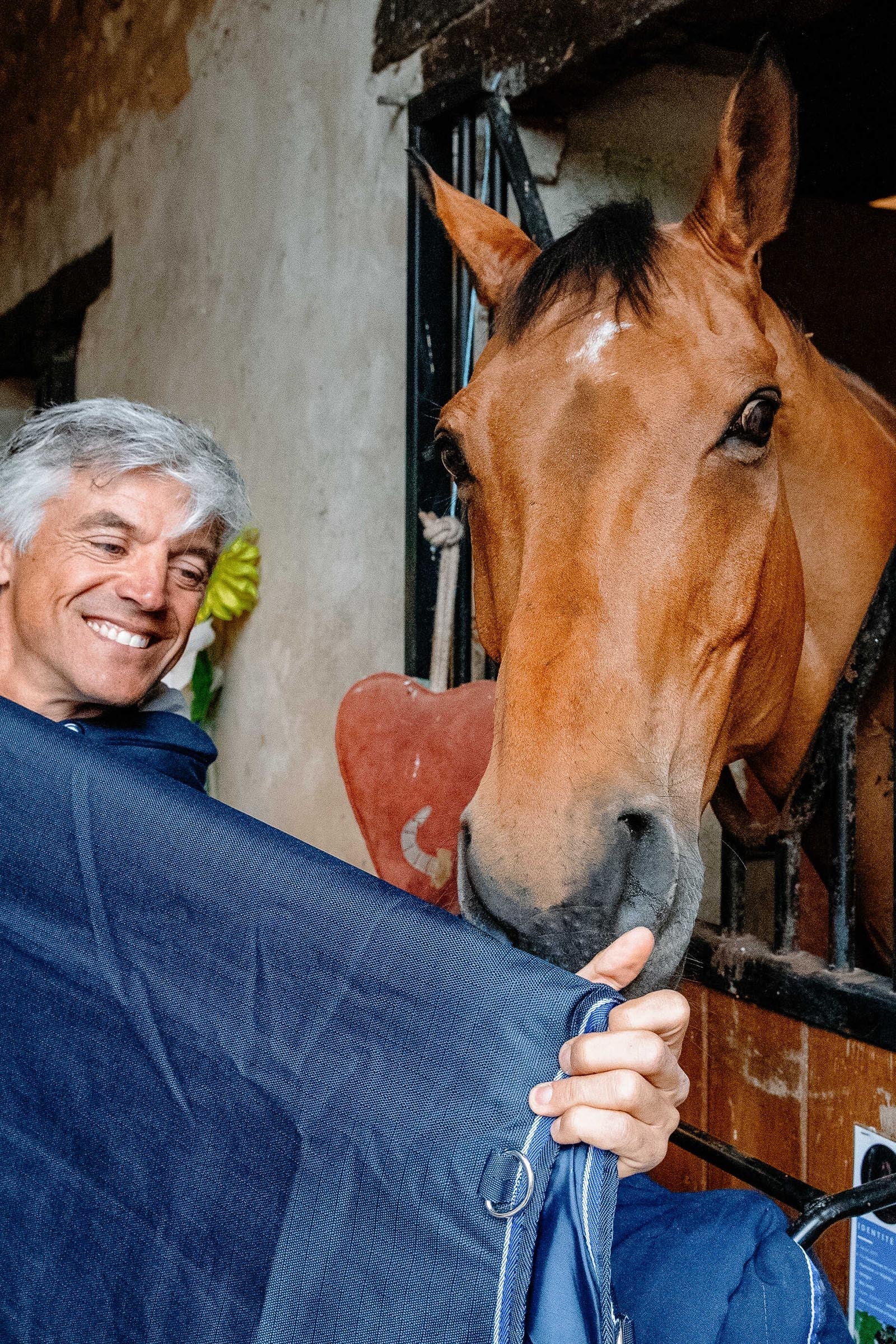 EQUITHÈME Classic 1200D Turnout Rug, 50 g Horse Rugs