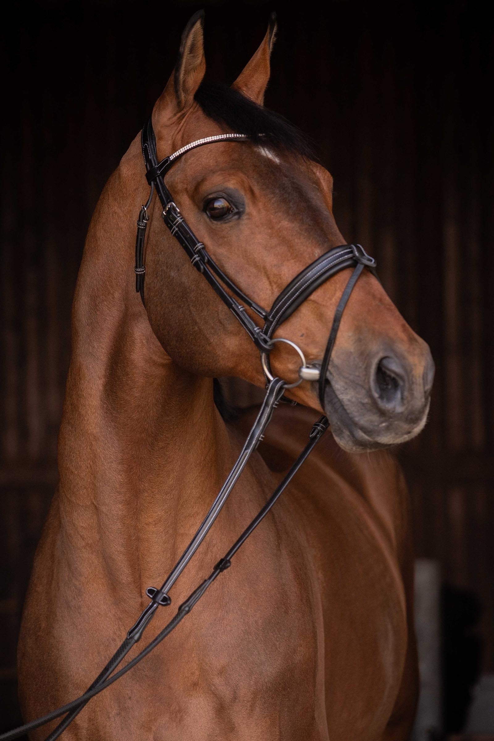 PENELOPE Daily Strass Bridle Bridles & Reins