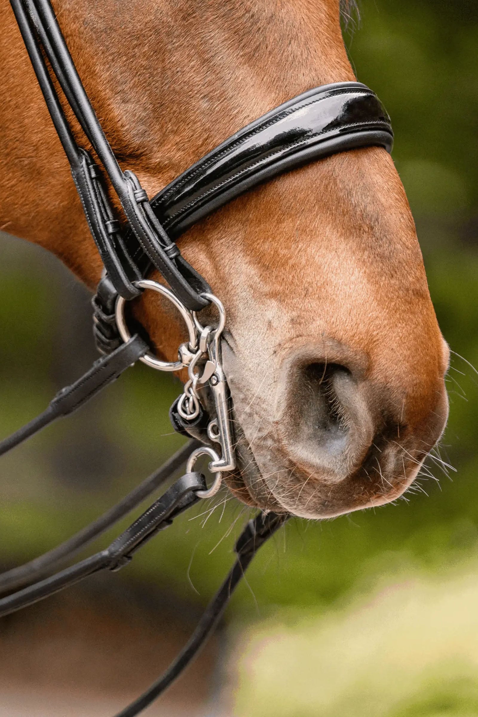 Sprenger Novocontact Weymouth 14mm Sensogan with 5cm Stainless Steel Cheeks Horse Bits