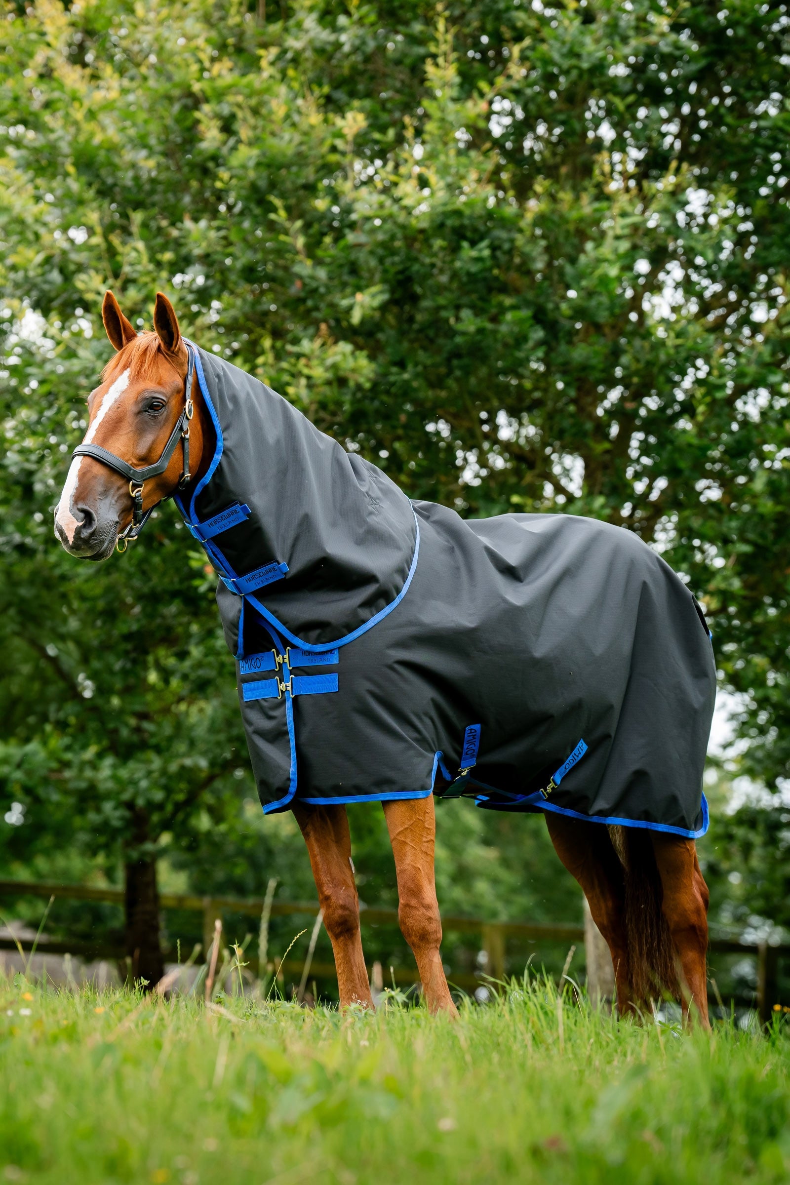 Horseware Amigo Ripstop 900D Plus regendeken, 0 g Paardendekens
