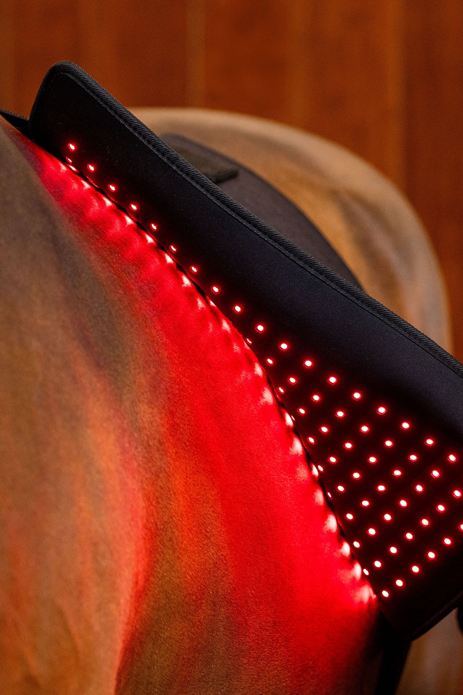 Horseware LED Red Light Therapy Pad Horse Rugs