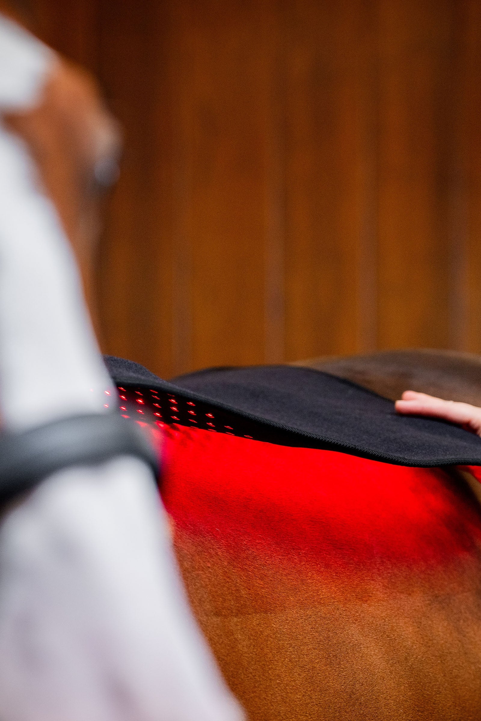 Horseware LED Red Light Therapy Pad Horse Rugs