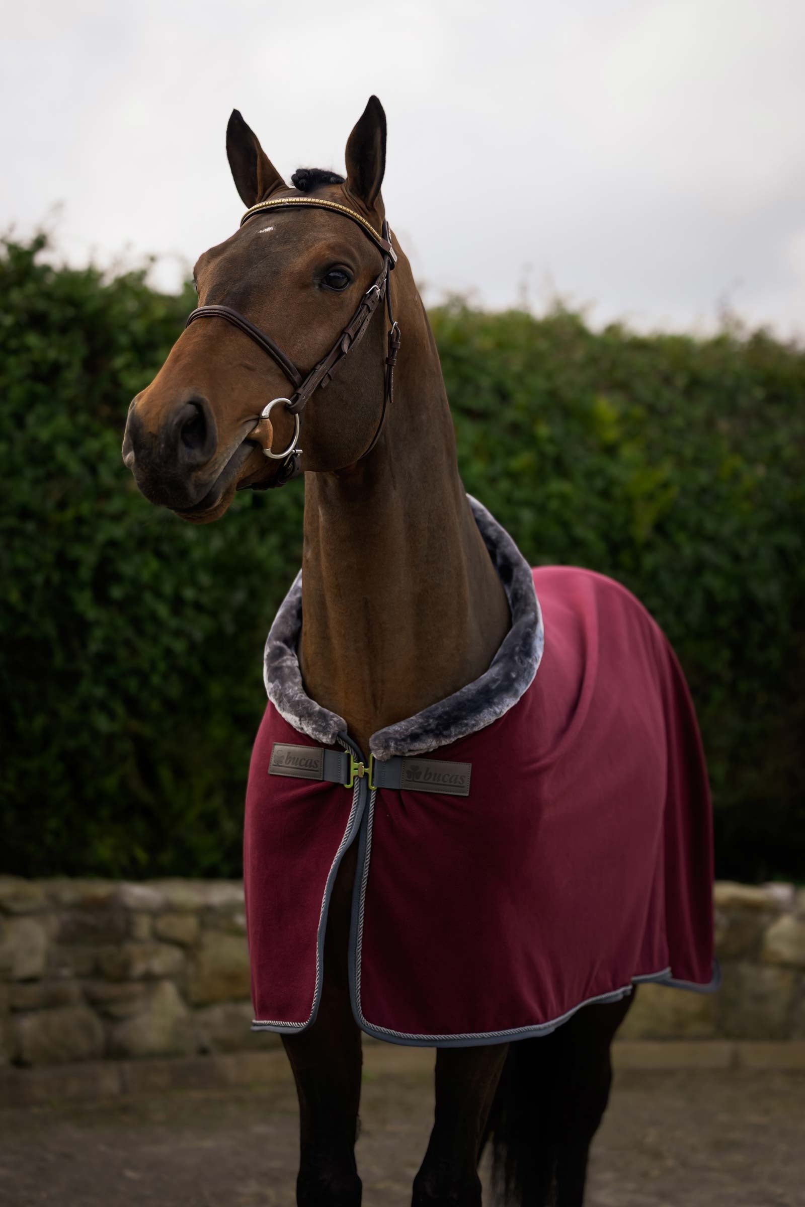 Bucas Show-Line Fleece Rug, 400 g Horse Rugs