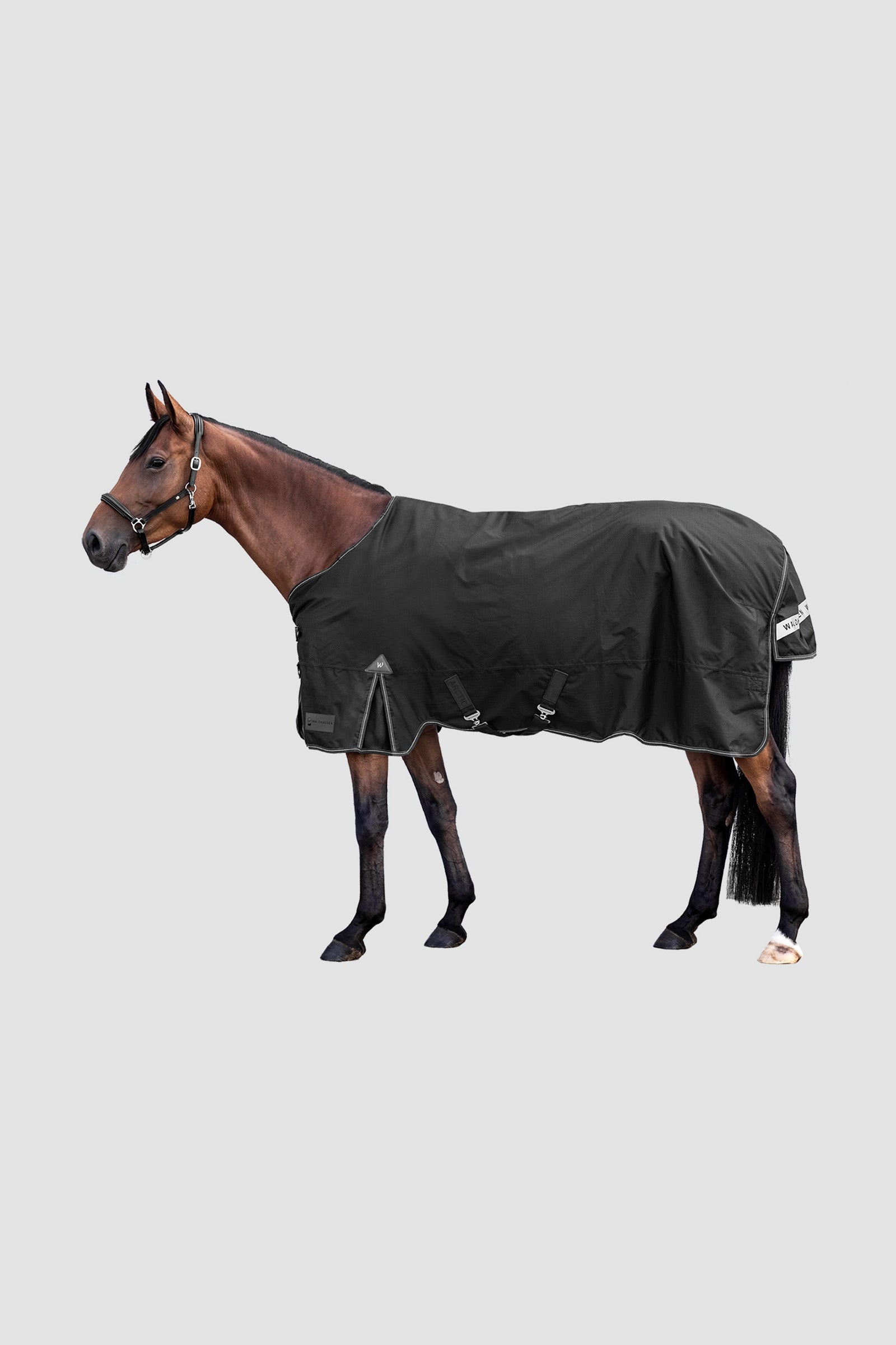 Waldhausen Outdoor Rug Arctic 300 g Paardendekens