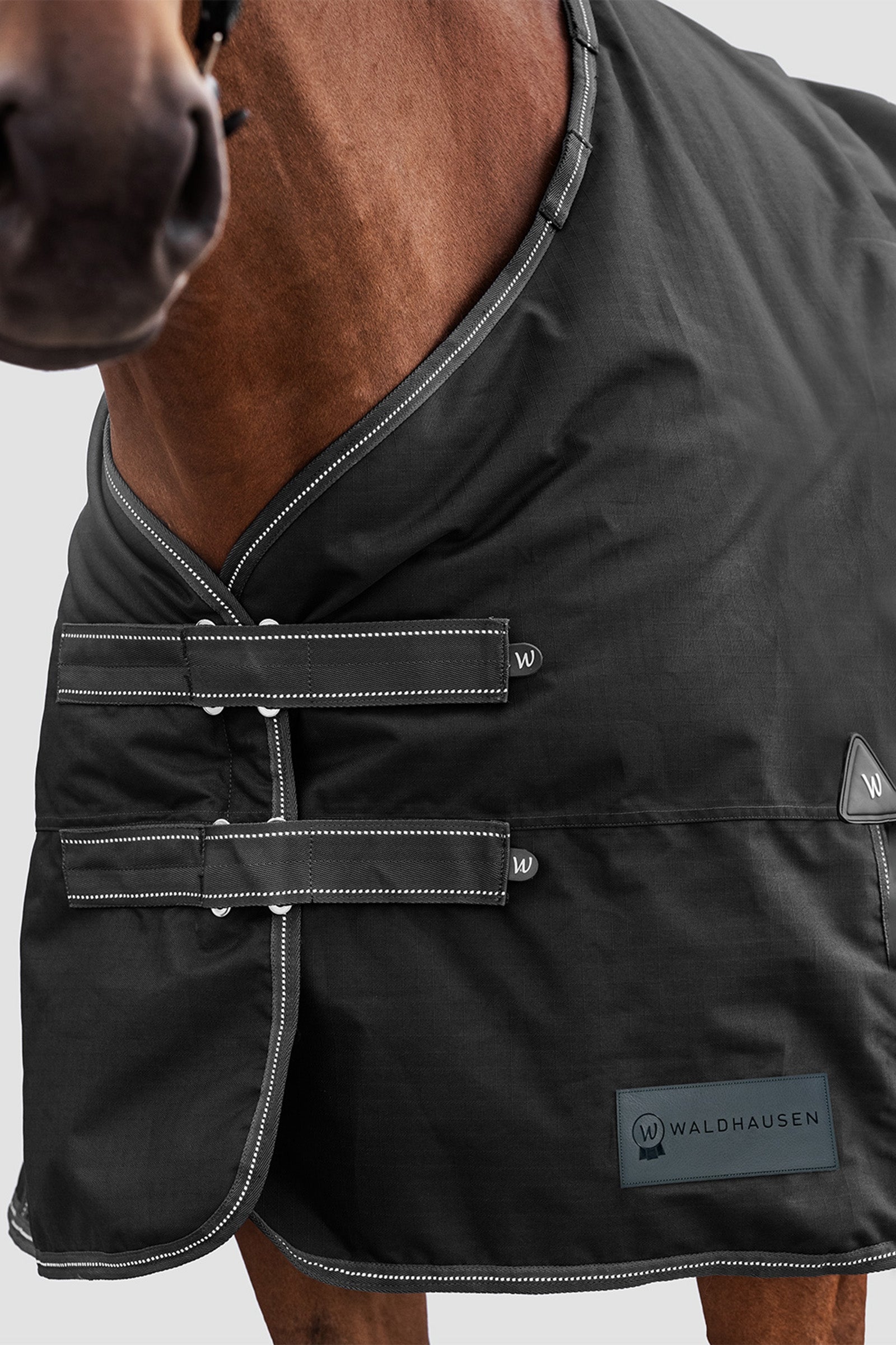 Waldhausen Outdoor Rug Arctic 300 g Horse Rugs