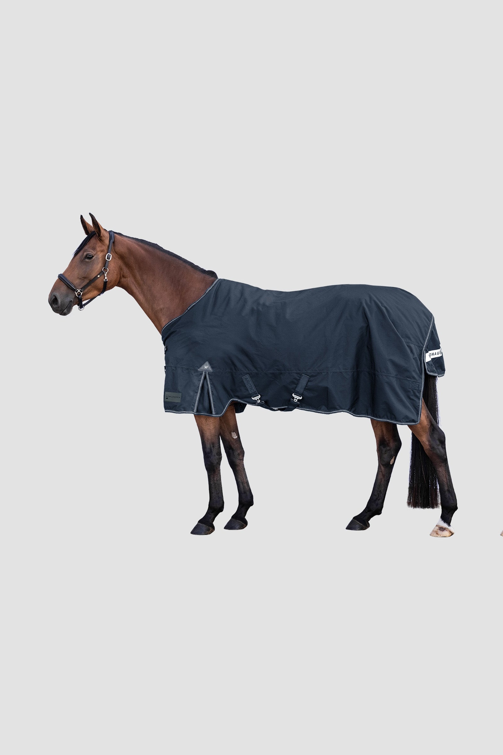 Waldhausen Outdoor Rug Arctic 300 g Paardendekens