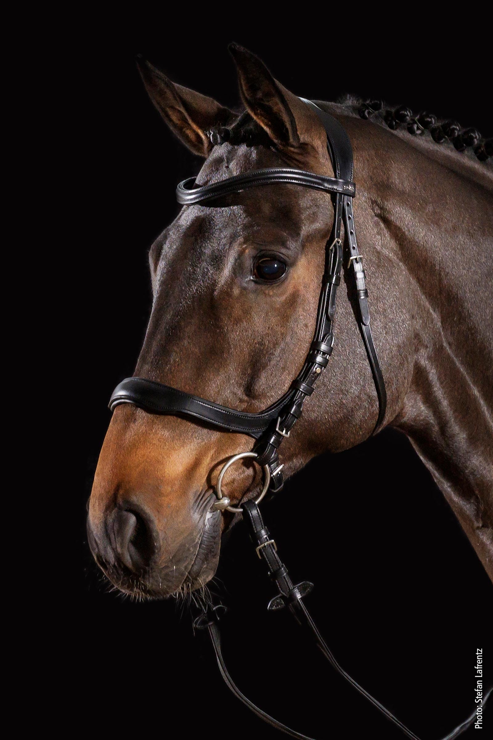 Schockemöhle Sports Equitus Delta Bridle Bridles & Reins
