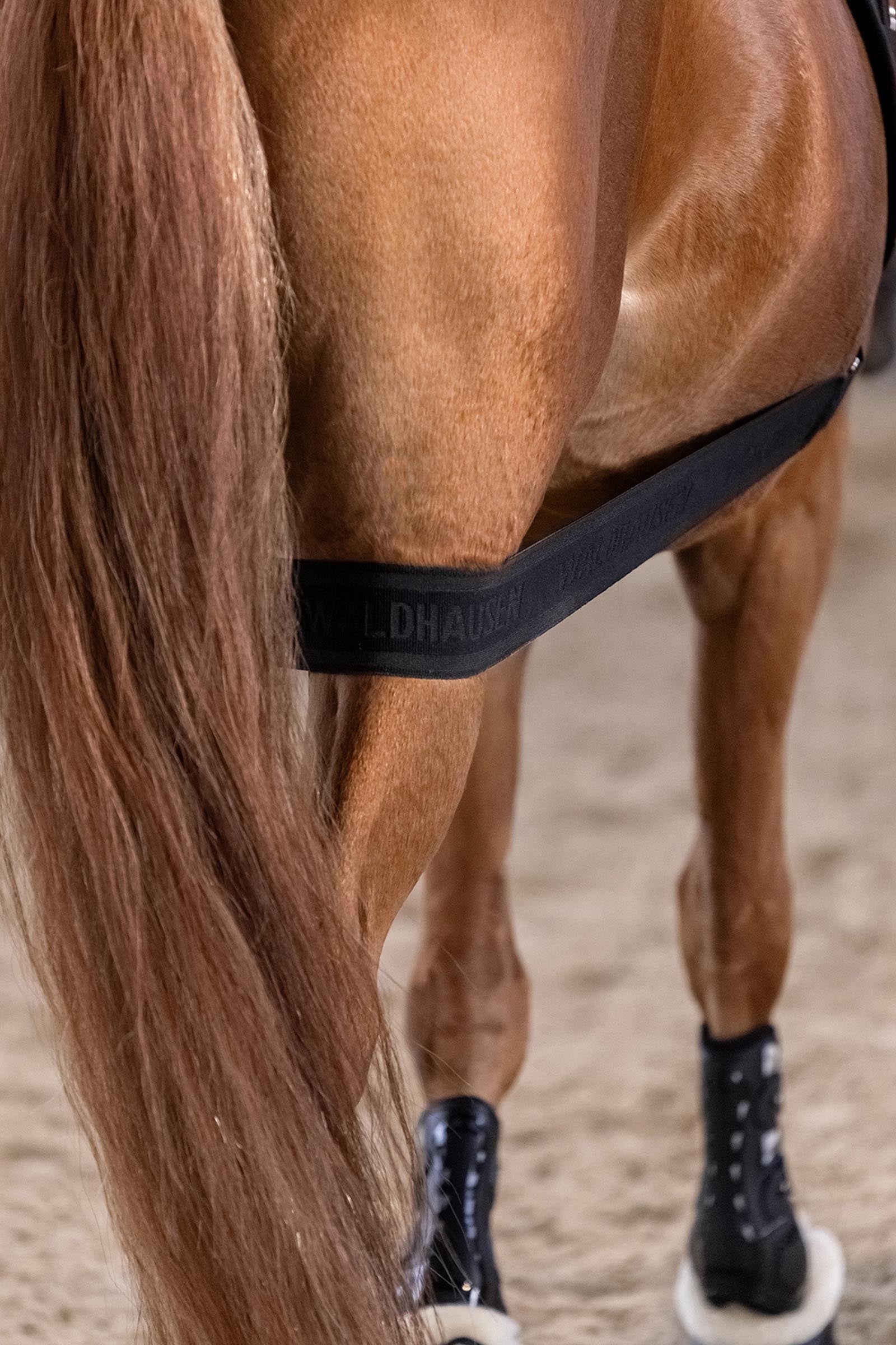 Waldhausen Body Bandage, Activation of the Hindquarters Leg Protection & Hoof Protection for Horses