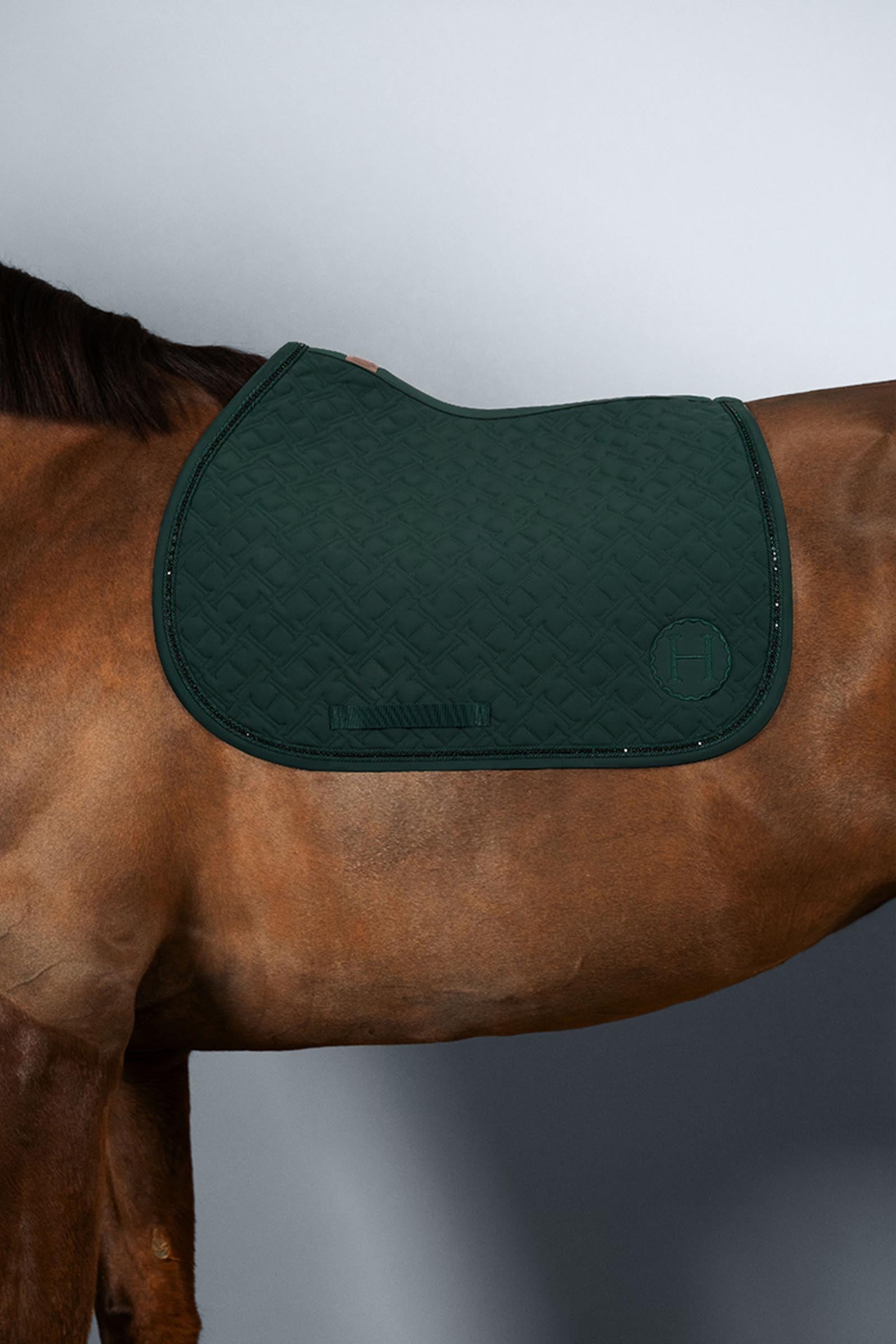 Harcour Saphir pony zadeldek Pony & Shetlander