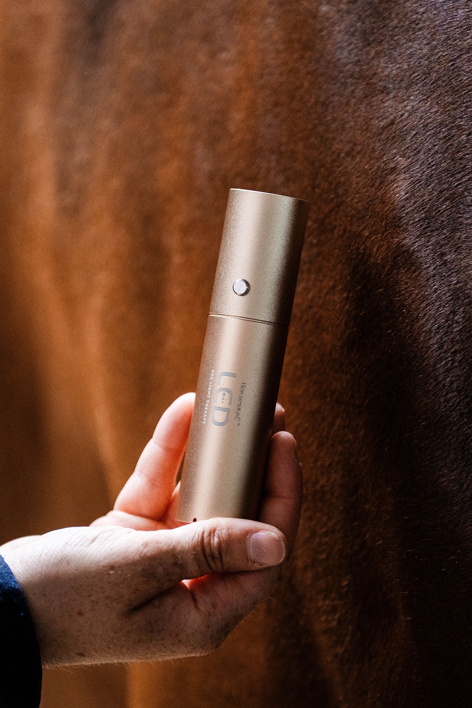 Horseware LED roodlichttherapie Staaf Paardendekens