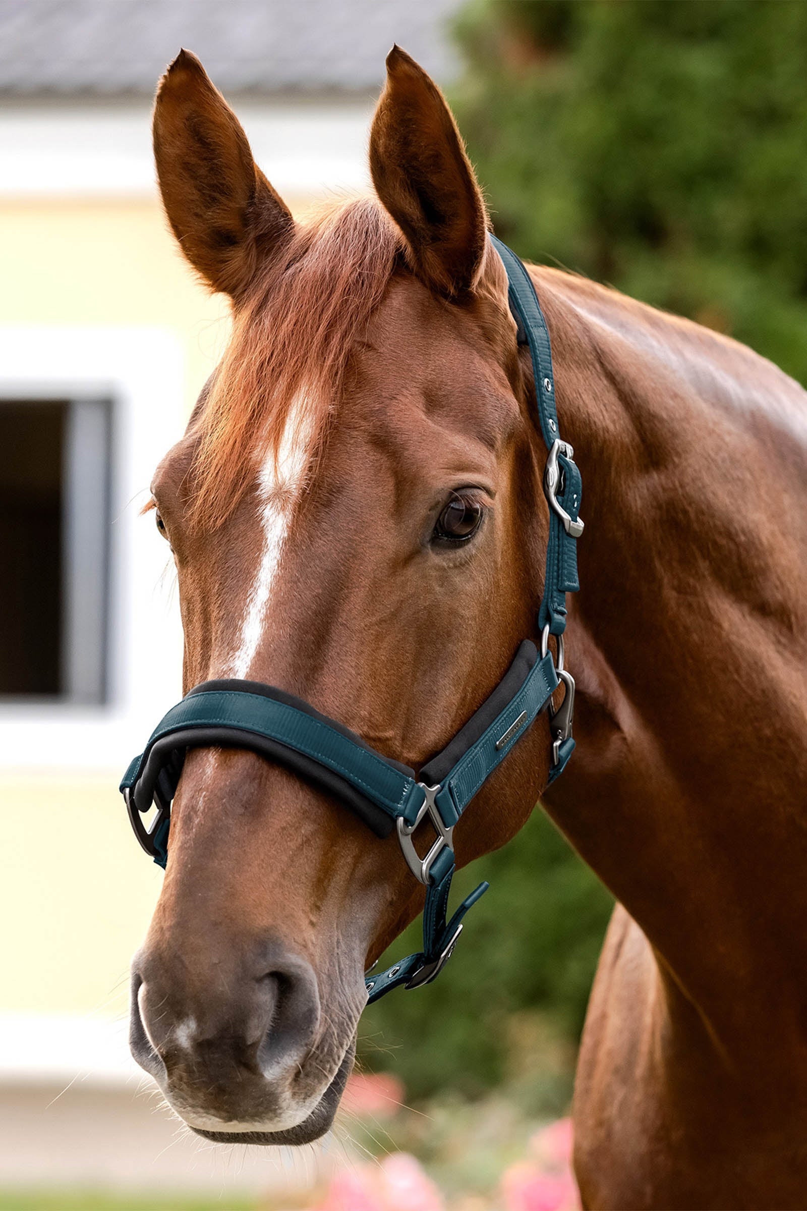 Waldhausen Soft Touch Halter Halters & Leads