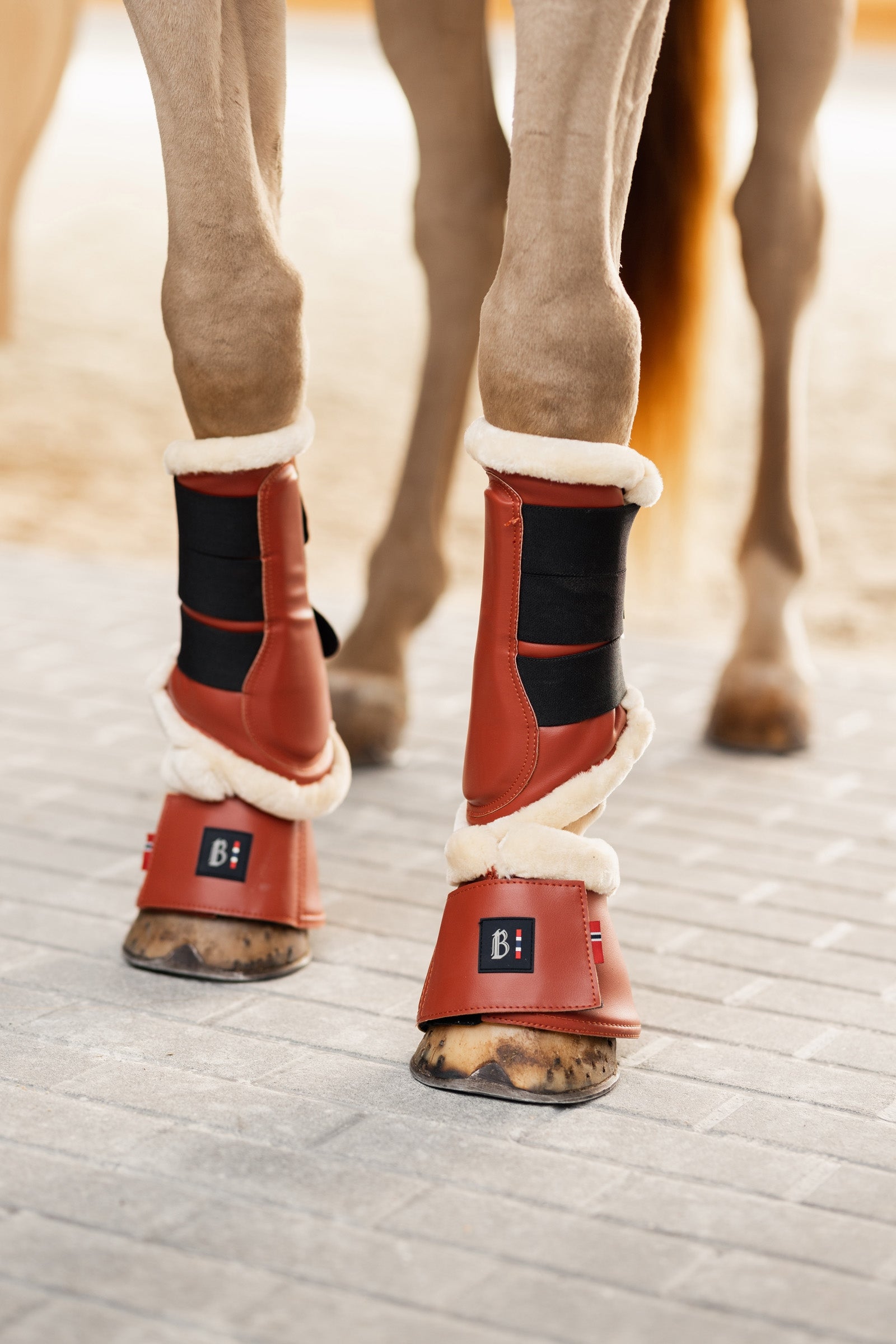 B Vertigo Empowerment Bell Boot Leg Protection & Hoof Protection for Horses