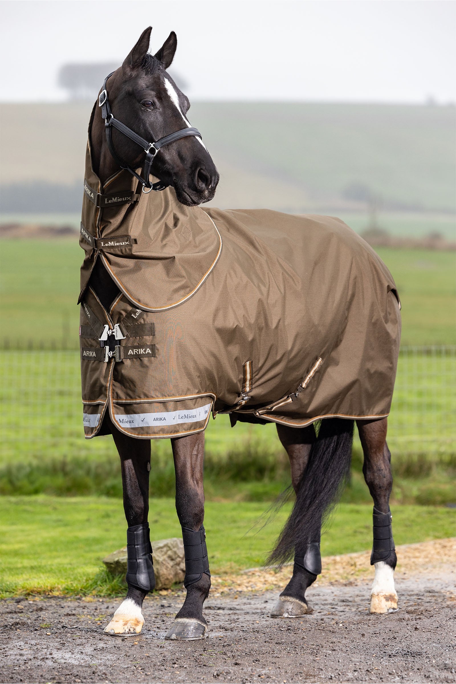 LeMieux Arika ripstop regendeken met afneembare hals 50 g Paardendekens
