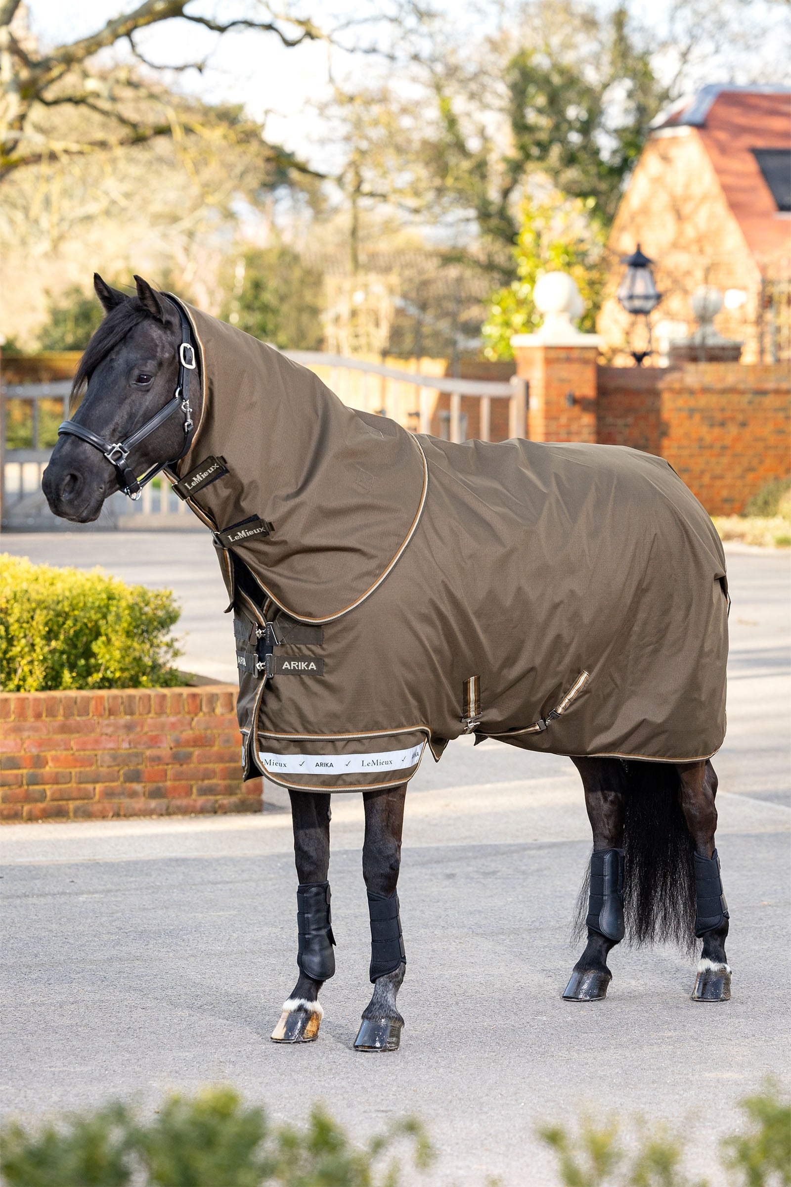 LeMieux Arika Ripstop Turnout Rug 50g Horse Rugs