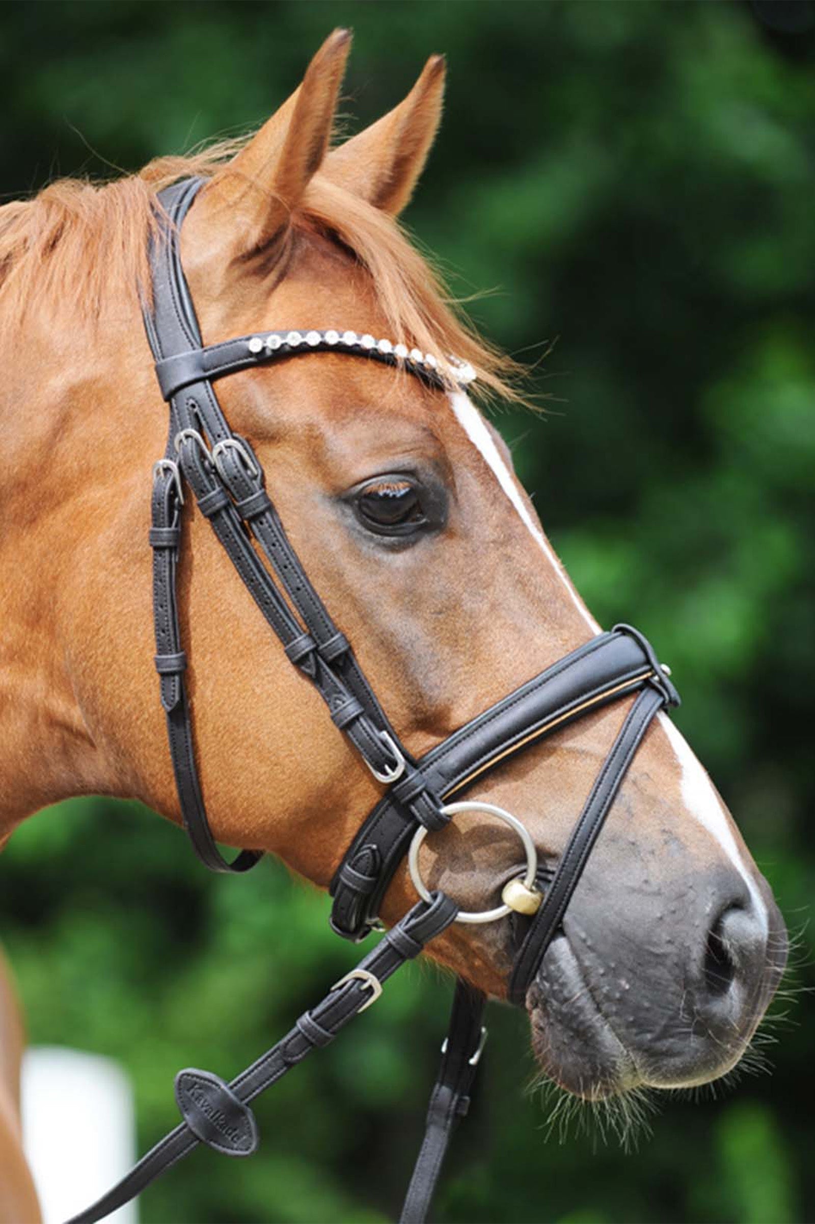 Kavalkade Cortica Vegan Cork Bridle Bridles & Reins
