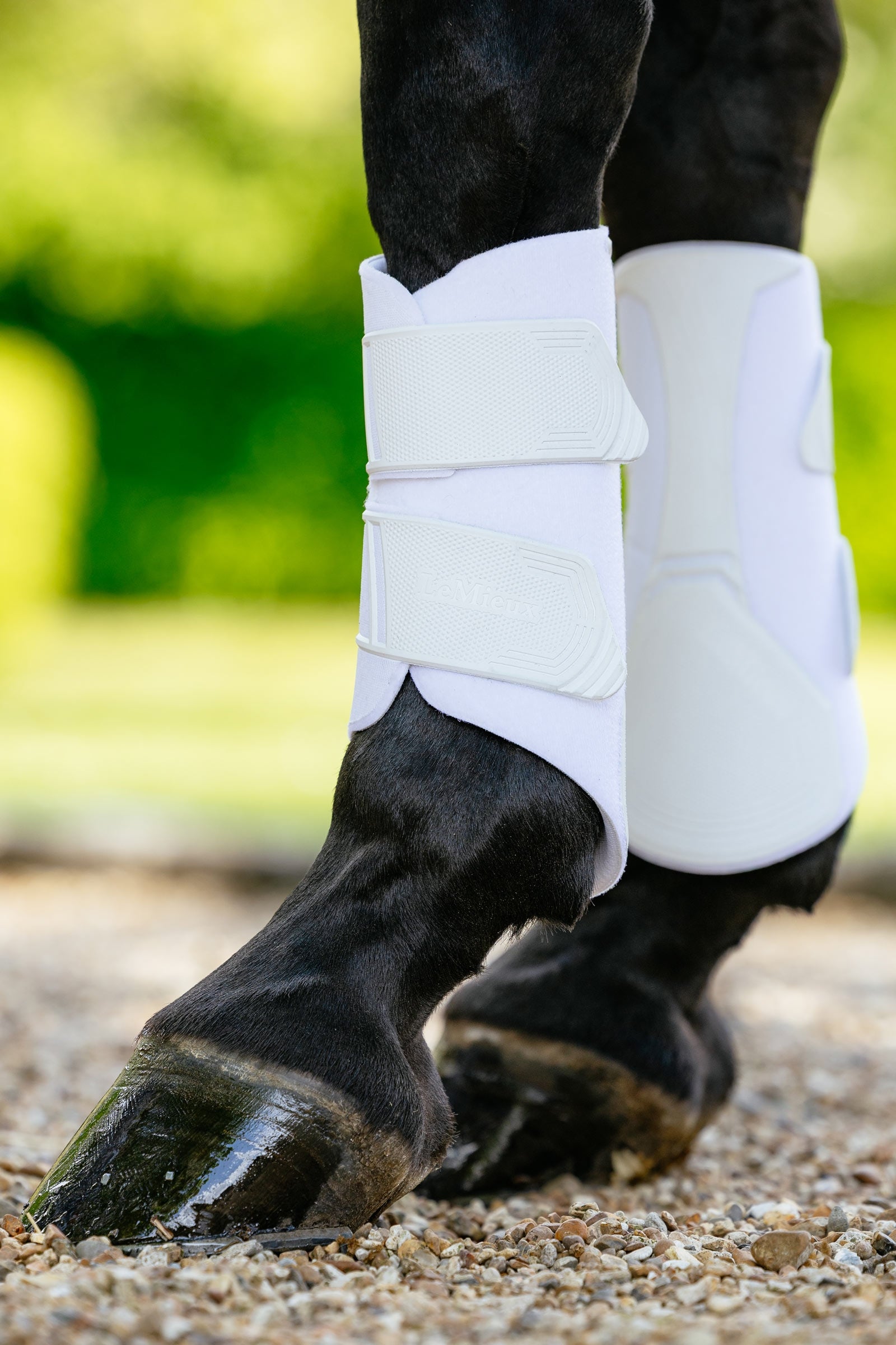 LeMieux Technical Brushing Boots Leg Protection & Hoof Protection for Horses