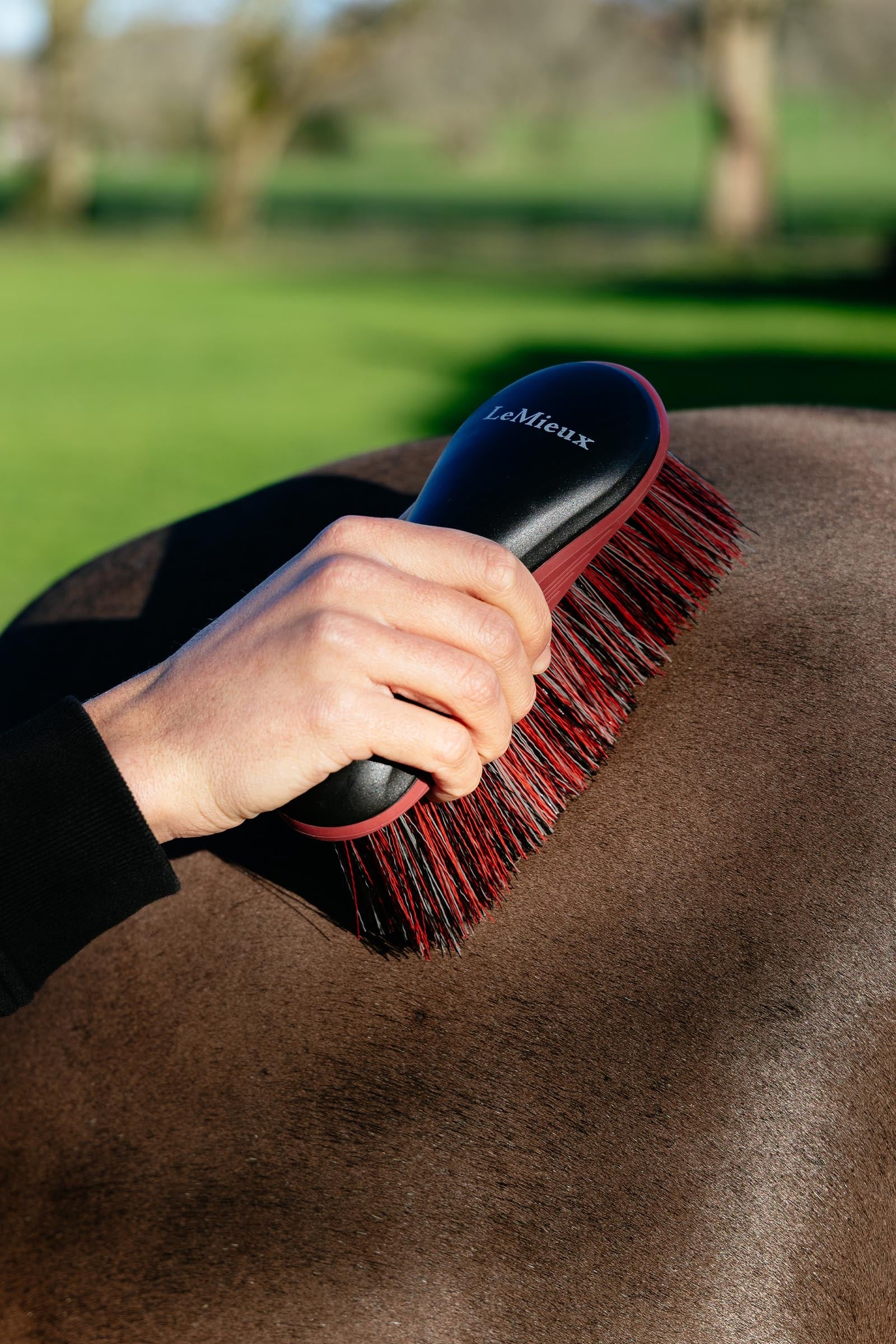 LeMieux Lemieux Flicky Brush Horse Grooming Tools
