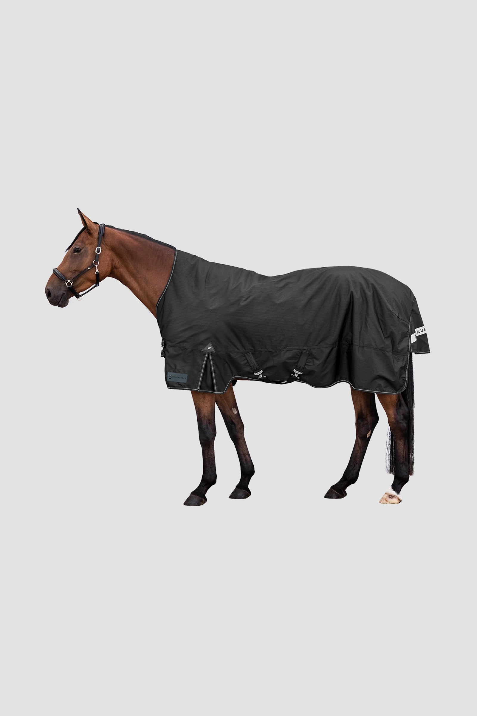Waldhausen Arctic Outdoor Rug With High Neck, 100 g Paardendekens