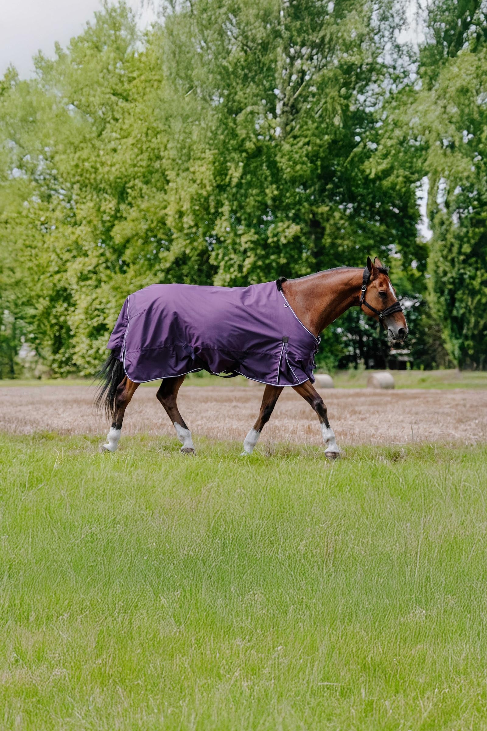 EQUITHÈME TYREX Aisance 600D outdoordeken, 0 g Paardendekens