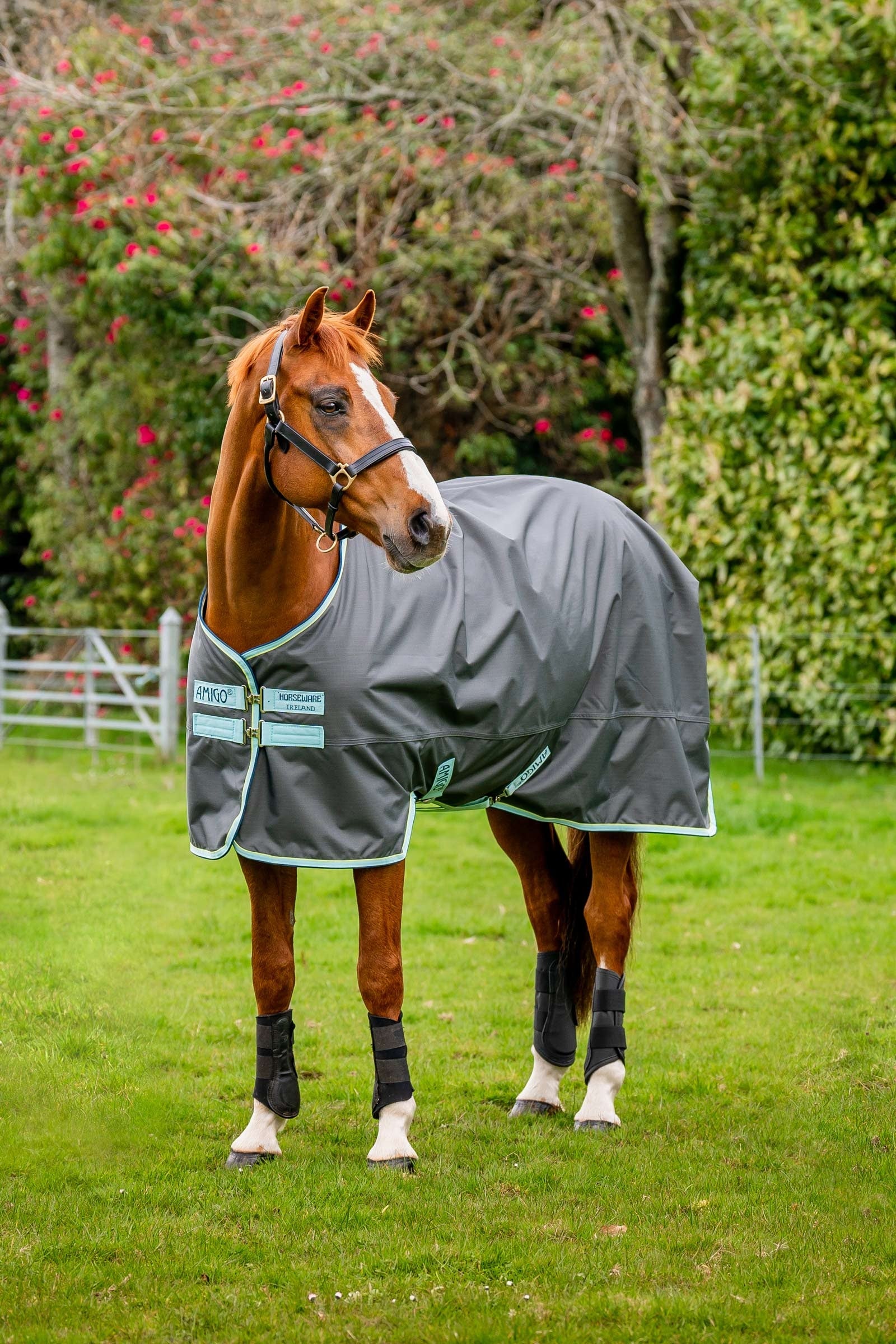 Horseware Amigo Hero Ripstop udedækken med fleeceforing, 50g Paardendekens