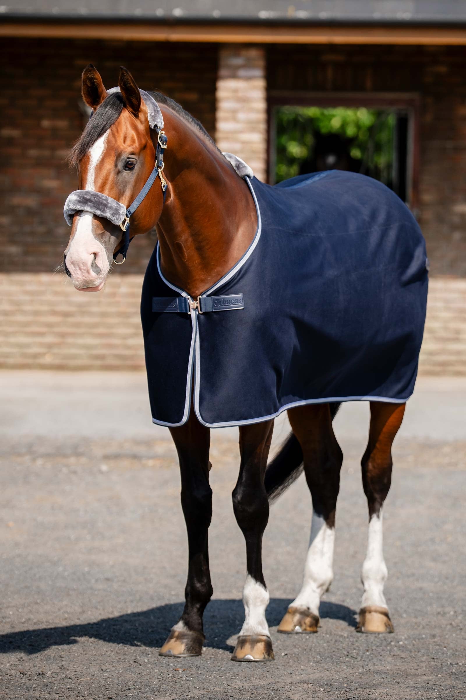 Bucas Emerald Wool Rug Horse Rugs