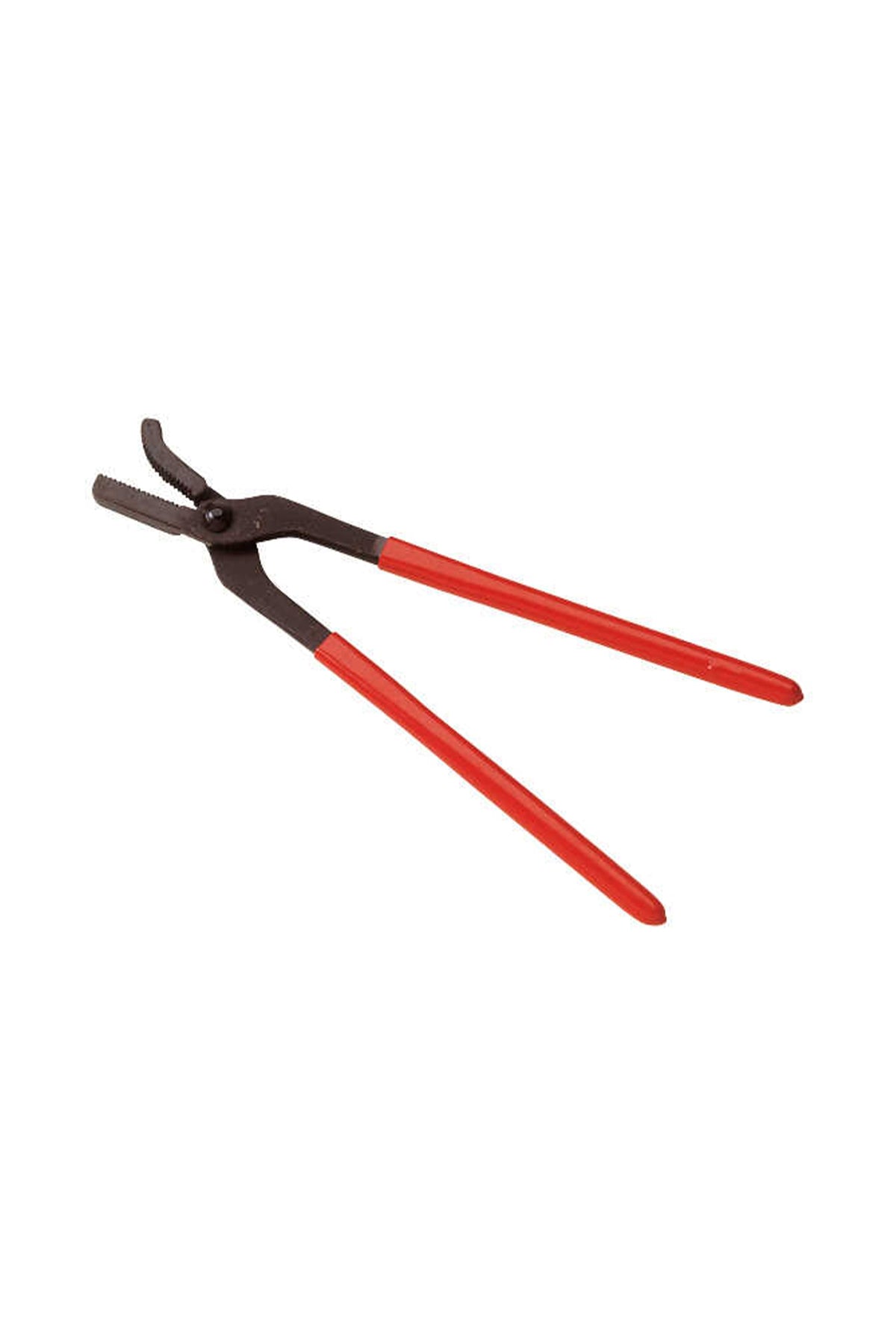 HIPPOTONIC Pince crocodile HIPPOTONIC Outils de maréchalerie