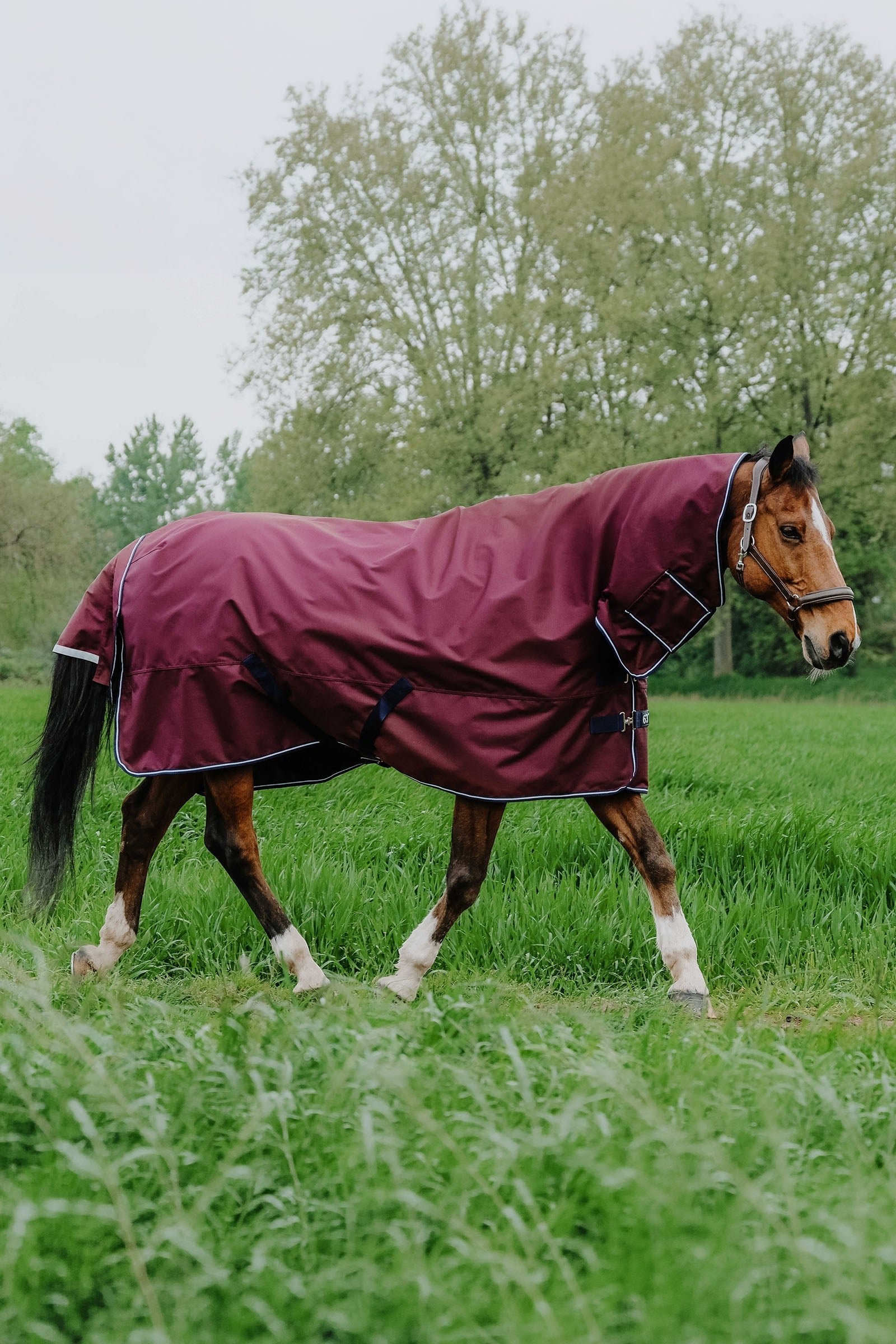 Equi Theme EQUITHÈME TYREX 1200D Combo Rug, 200 g Horse Rugs