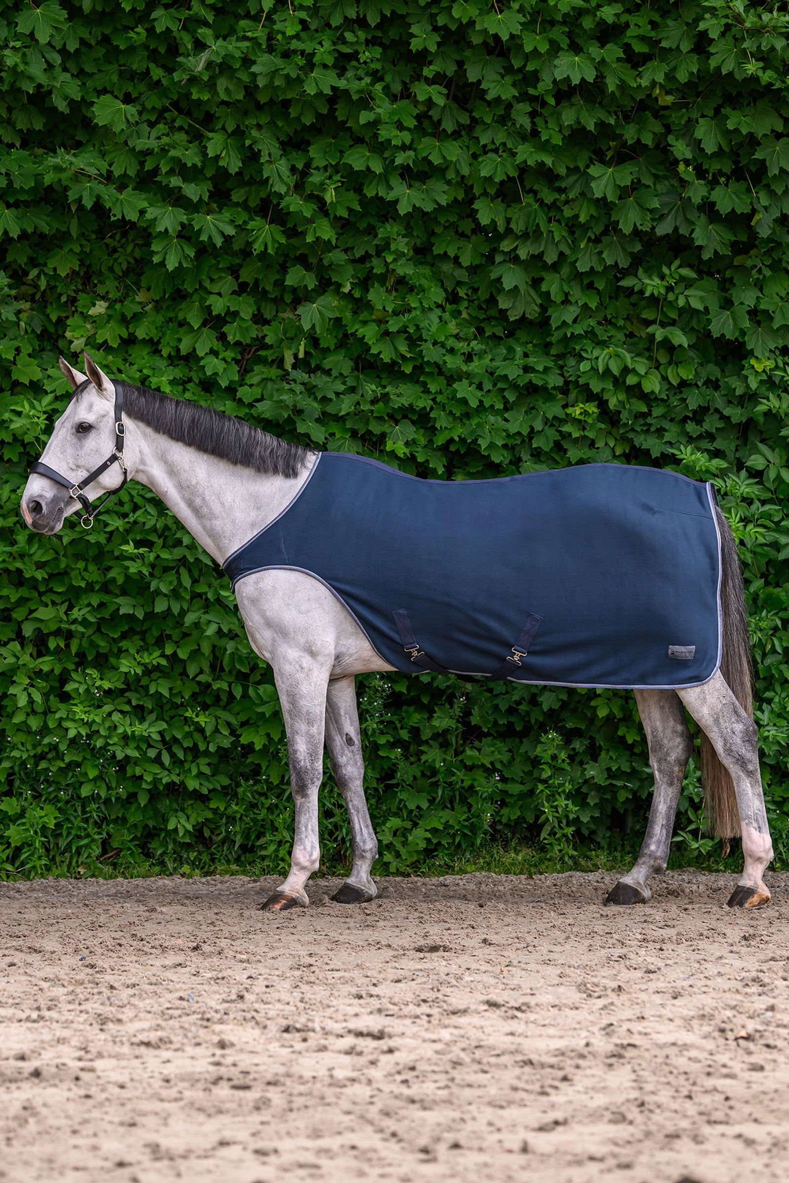 Waldhausen ECONOMIC fleece stapmolen deken Paardendekens