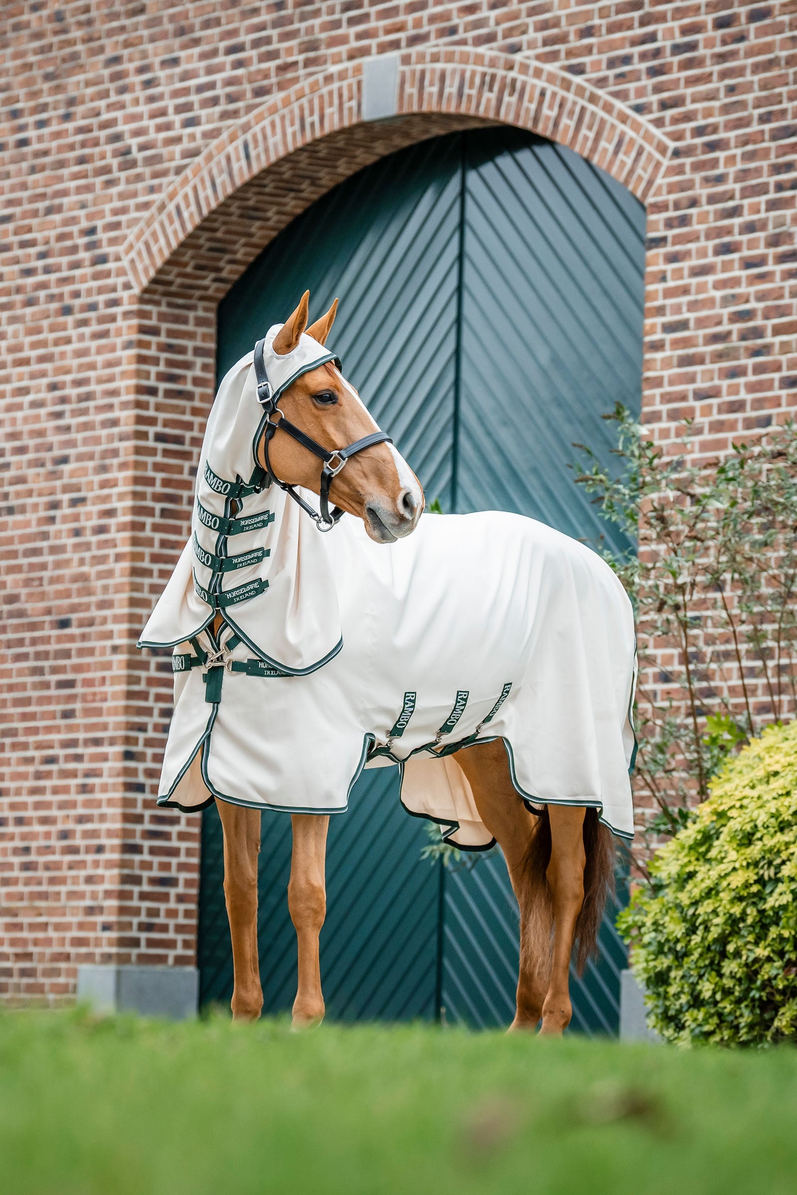 Horseware Rambo eczeemdeken Paardendekens