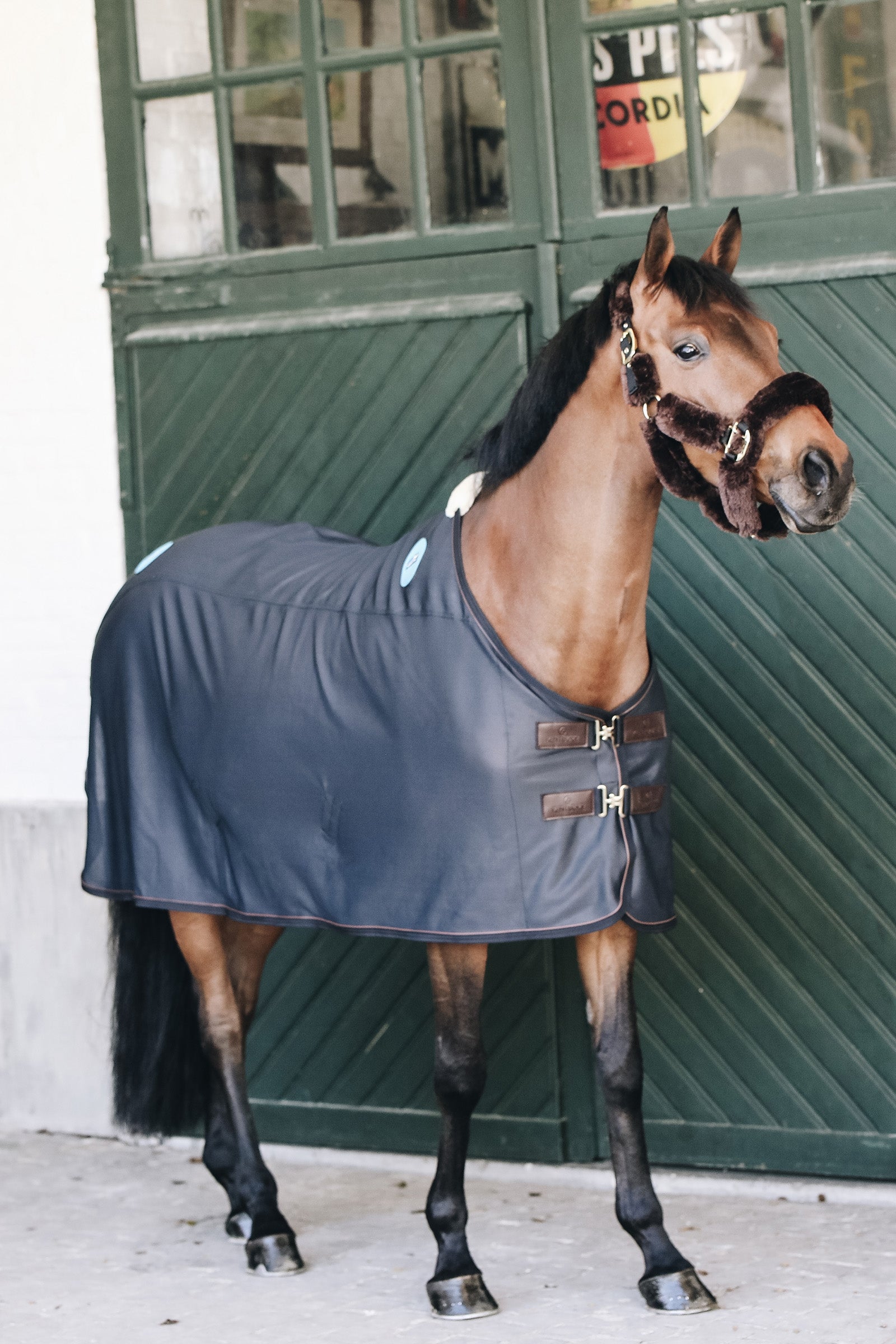 Kentucky Horsewear Magnetic Rug Recuptex Paardendekens