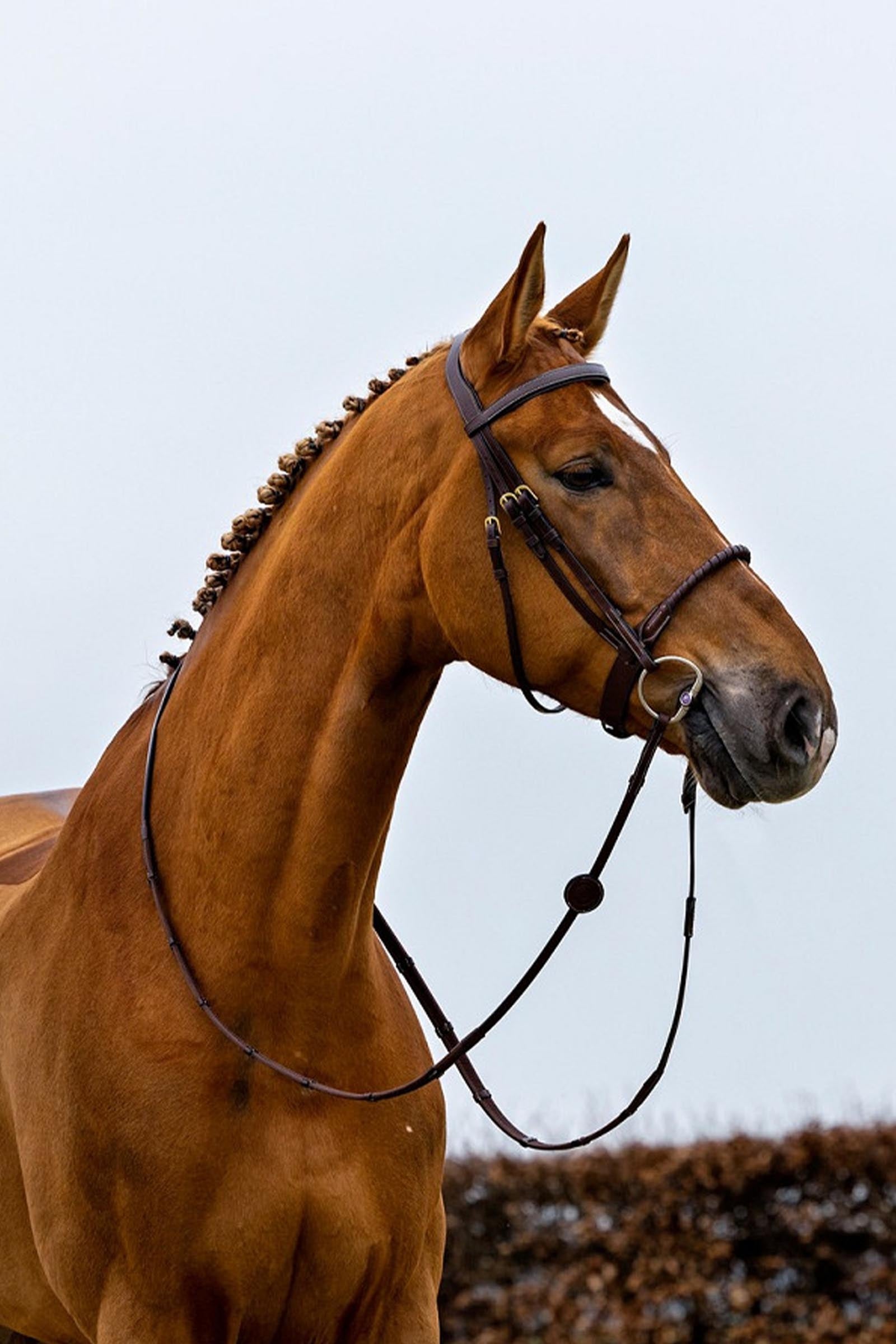 Trust Equestrian Dublin Rope Noseband Bridle Covered Bridles & Reins