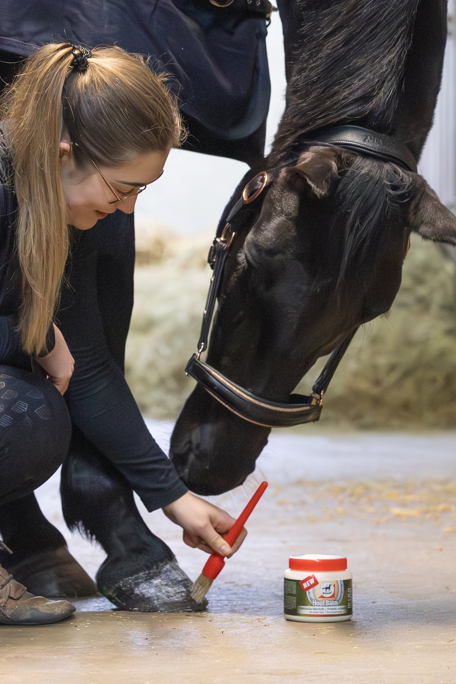 Leovet Hoof Balm Prebiotic 450ml Horse Health Care