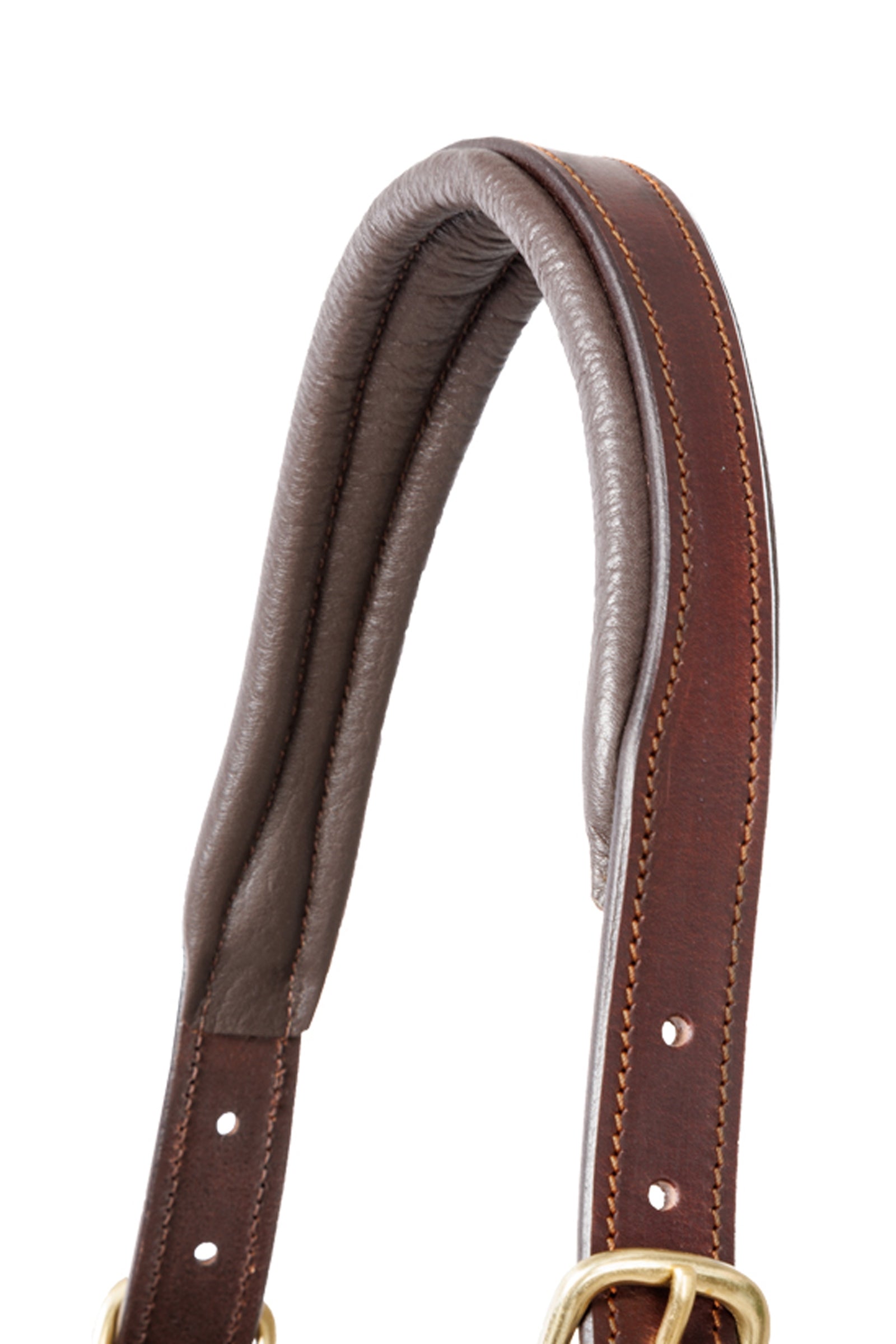 Kavalkade Leather halter Cinta Halters & Leads