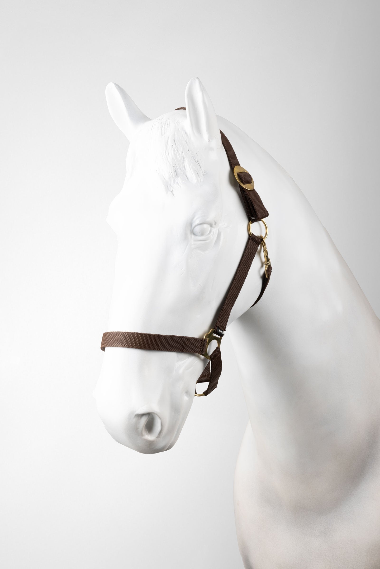 Horze halster & halstertouw set (3 stuks) Halsters & Halstertouwen