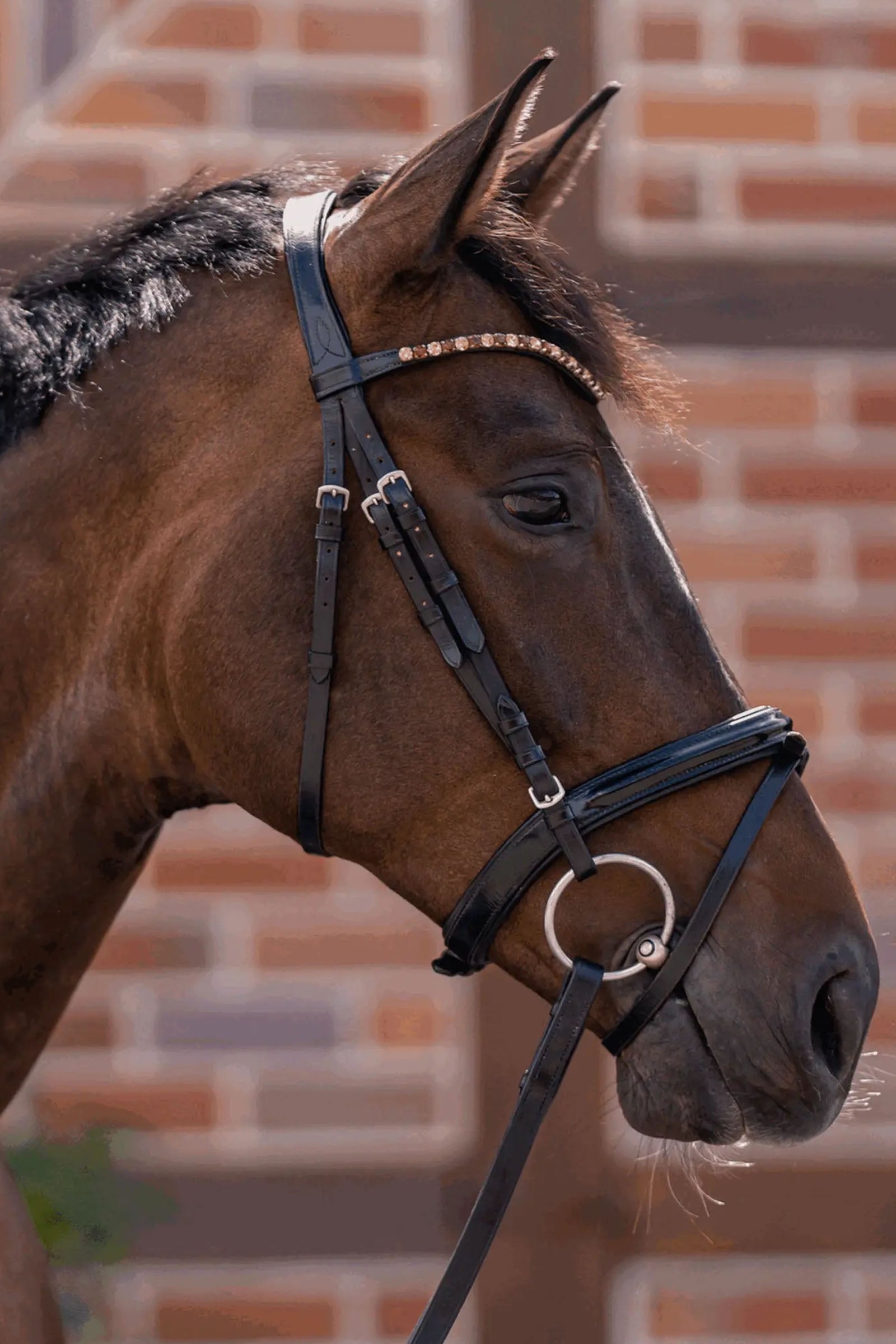 Sprenger Novocontact Loose Ring Snaffle, Single Jt. 14mm, Sensogan Horse Bits