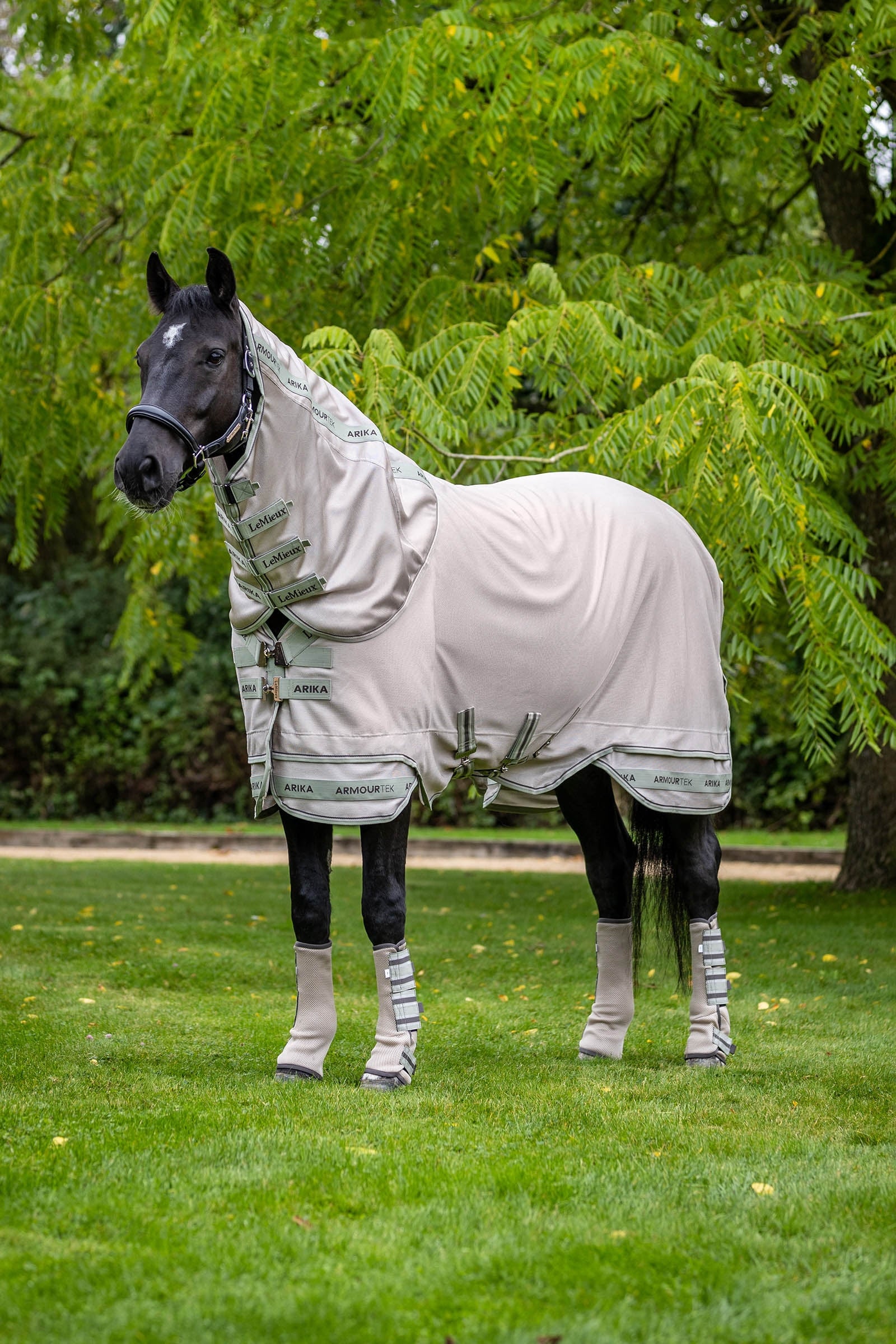 LeMieux Arika Armour-Tek Vliegendeken met afneembaar halsstuk Paardendekens