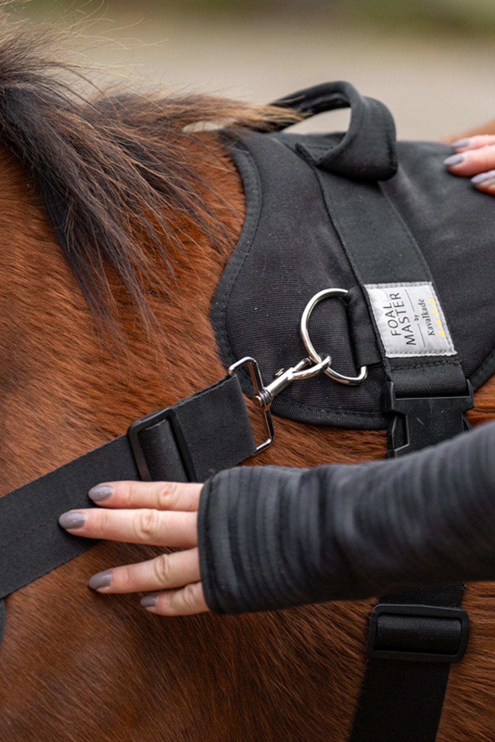 Kavalkade Foalmaster Foal Harness With Handle Pony & Shetland Tac